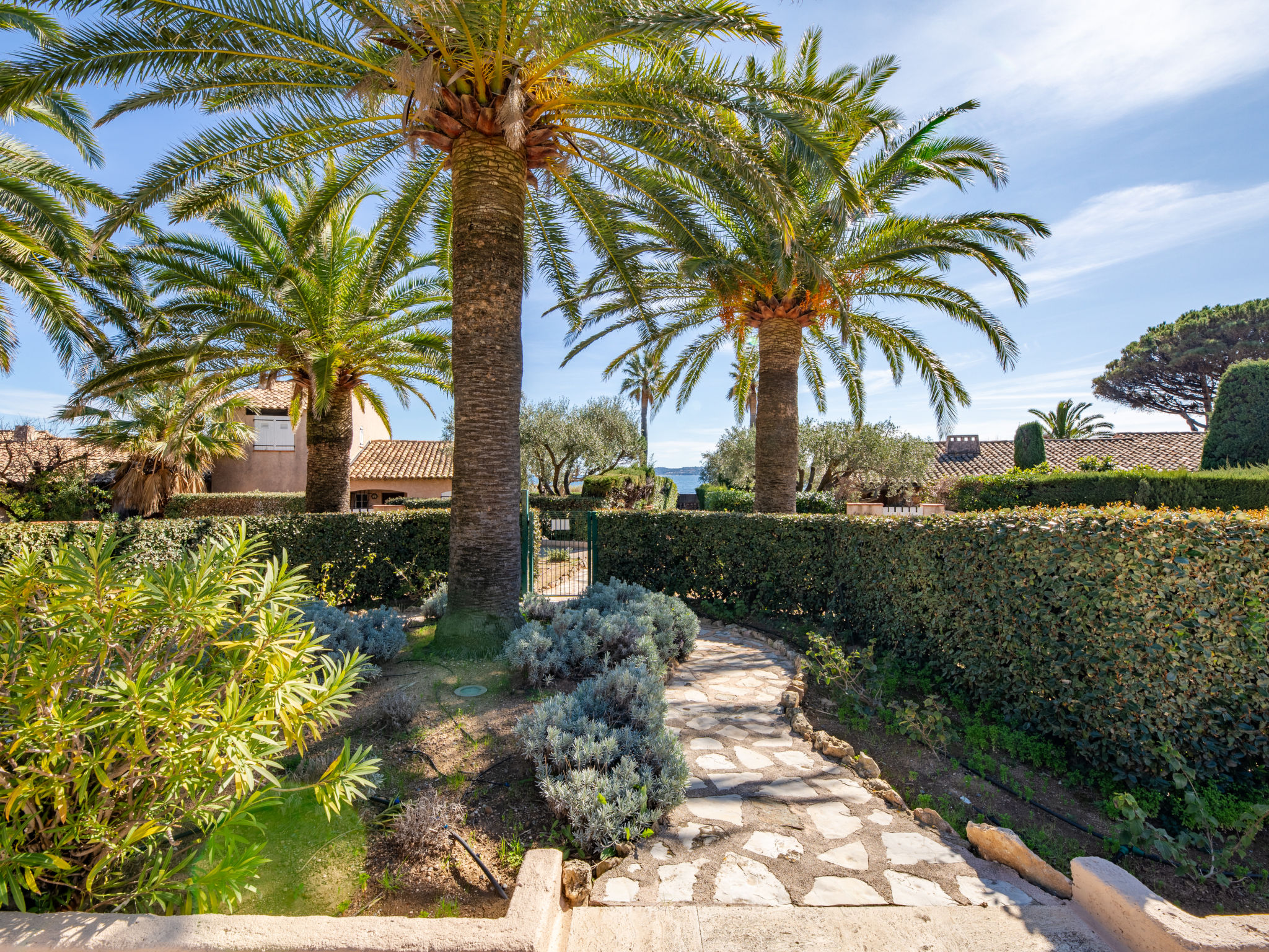 Photo of El Cantarello