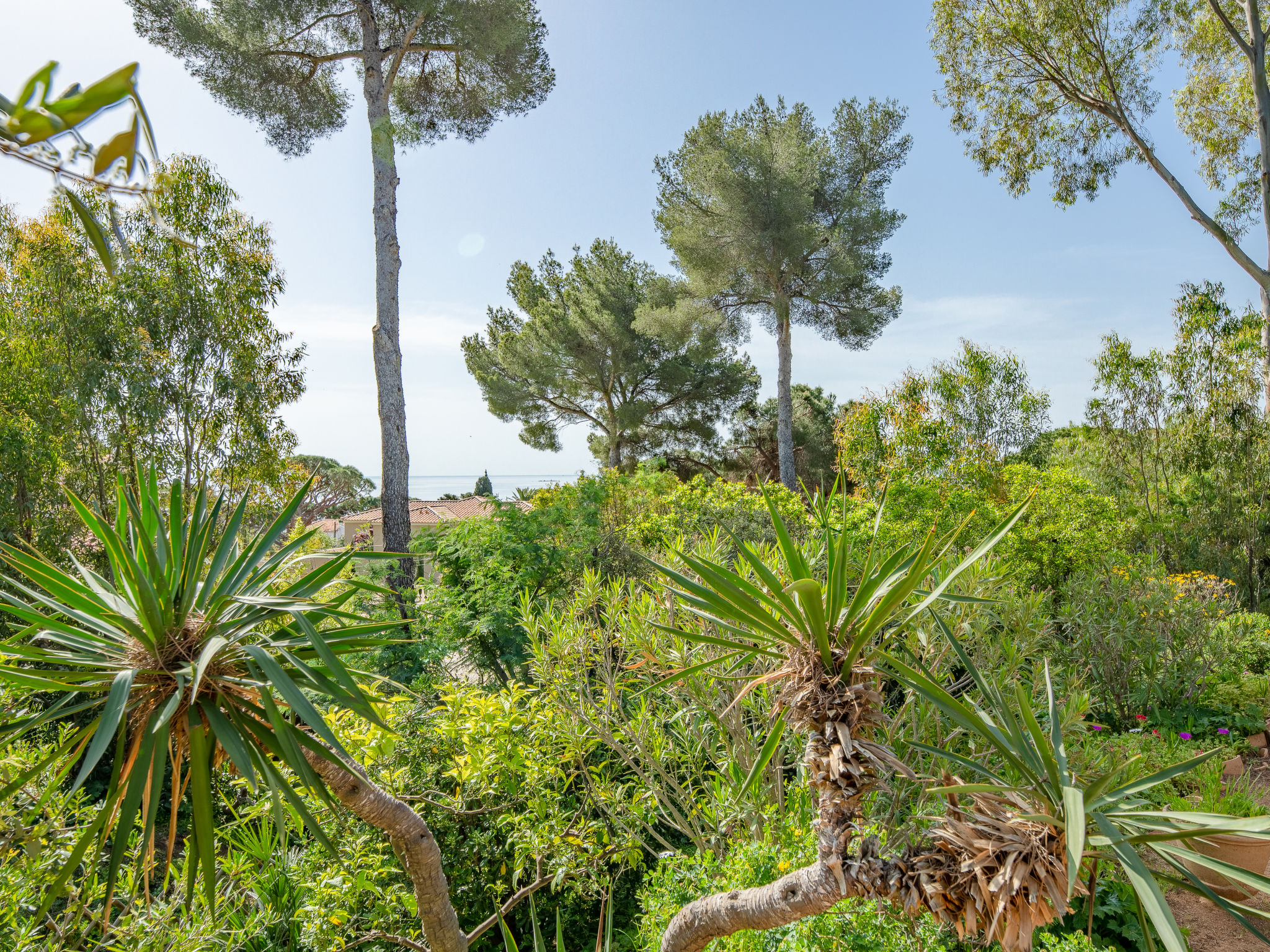 Photo of La Treille