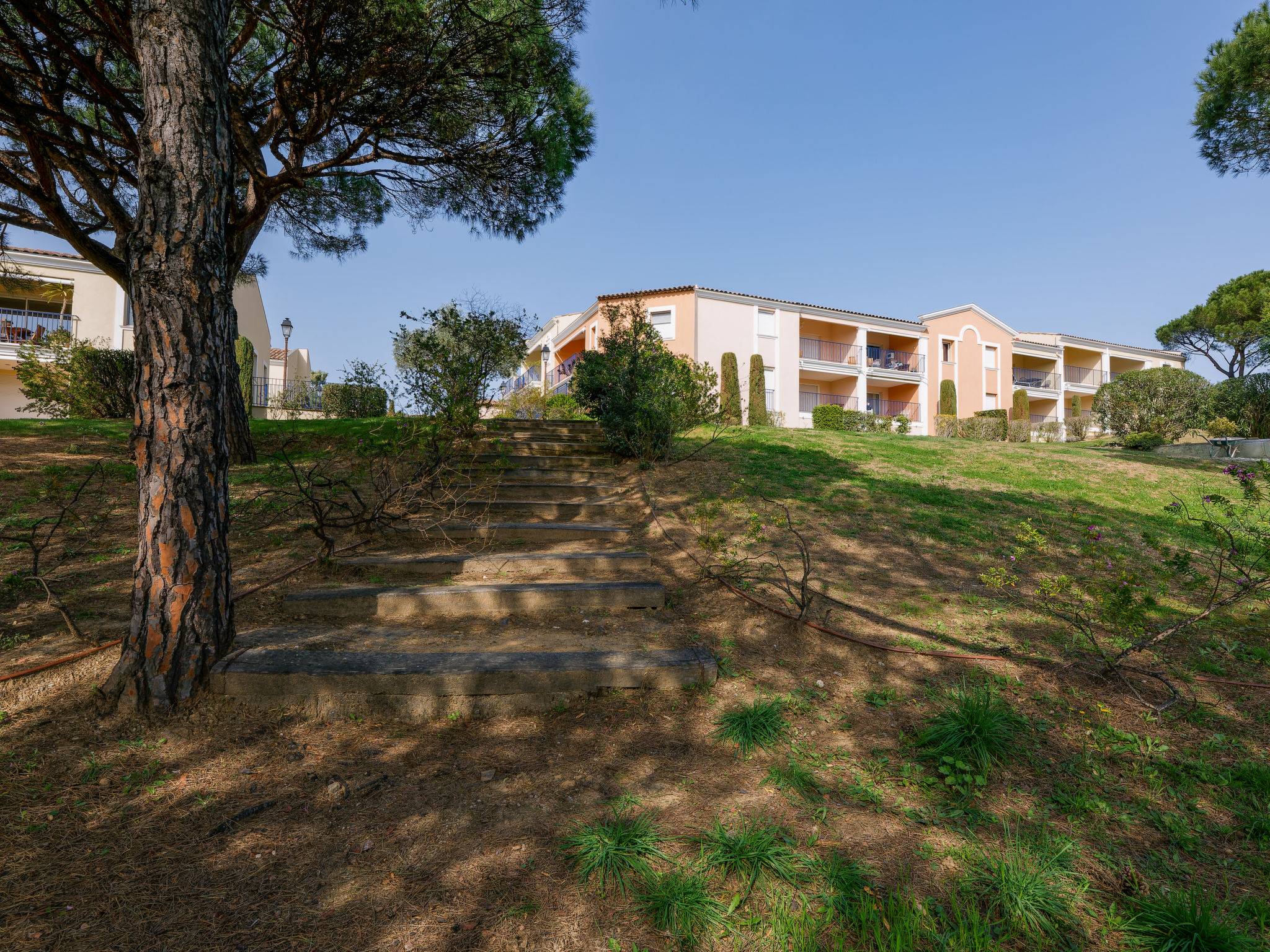 Photo of les Pins Bleus