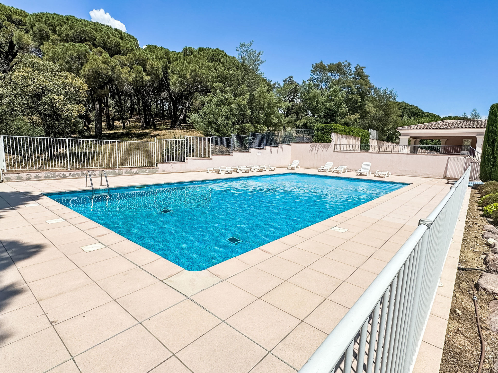 Photo of Les Pins Bleus App.02