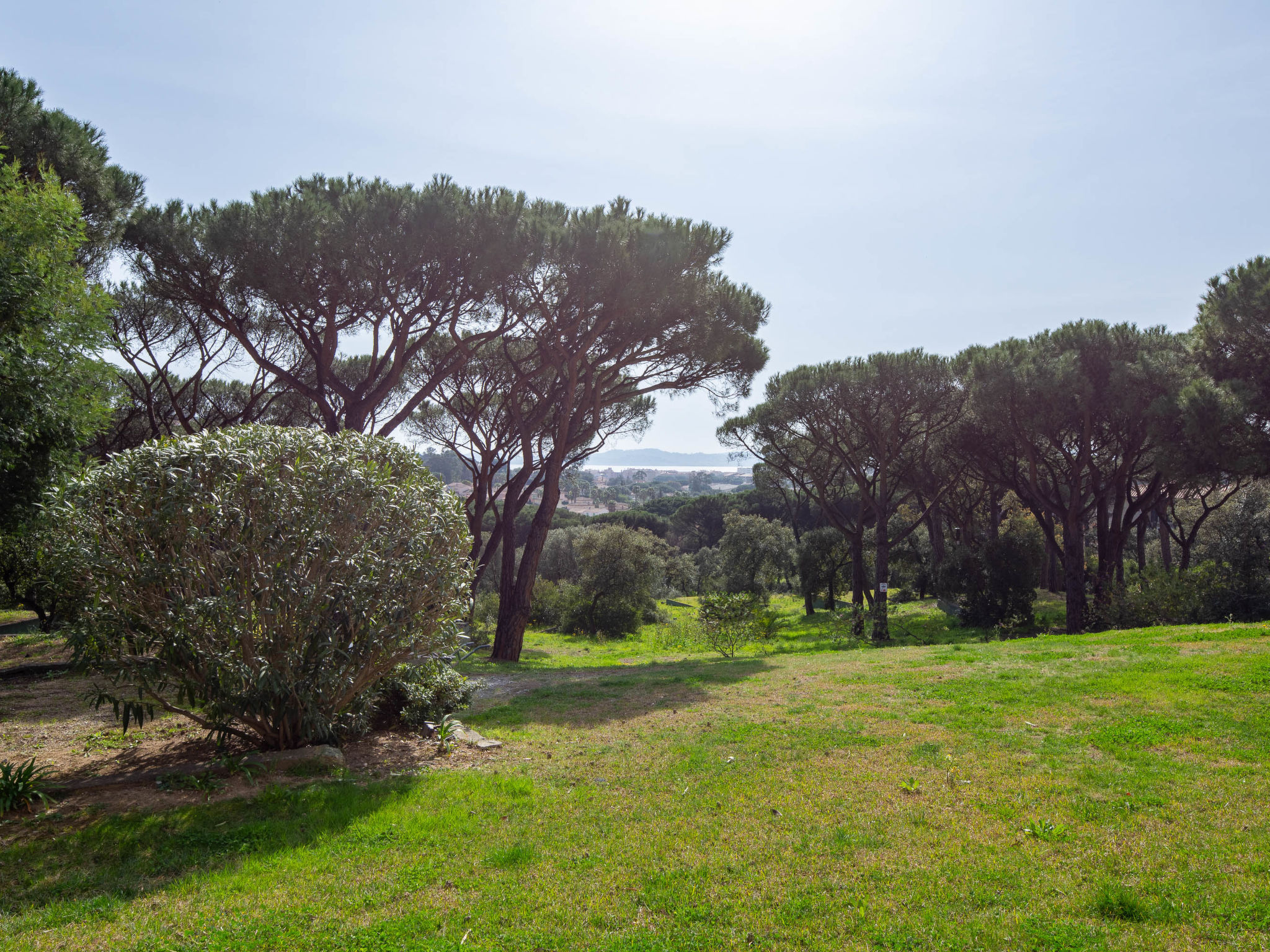 Photo of les Pins Bleus