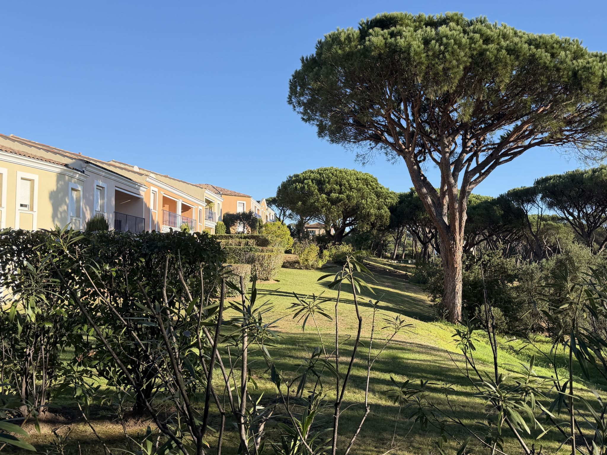 Photo of les Pins Bleus