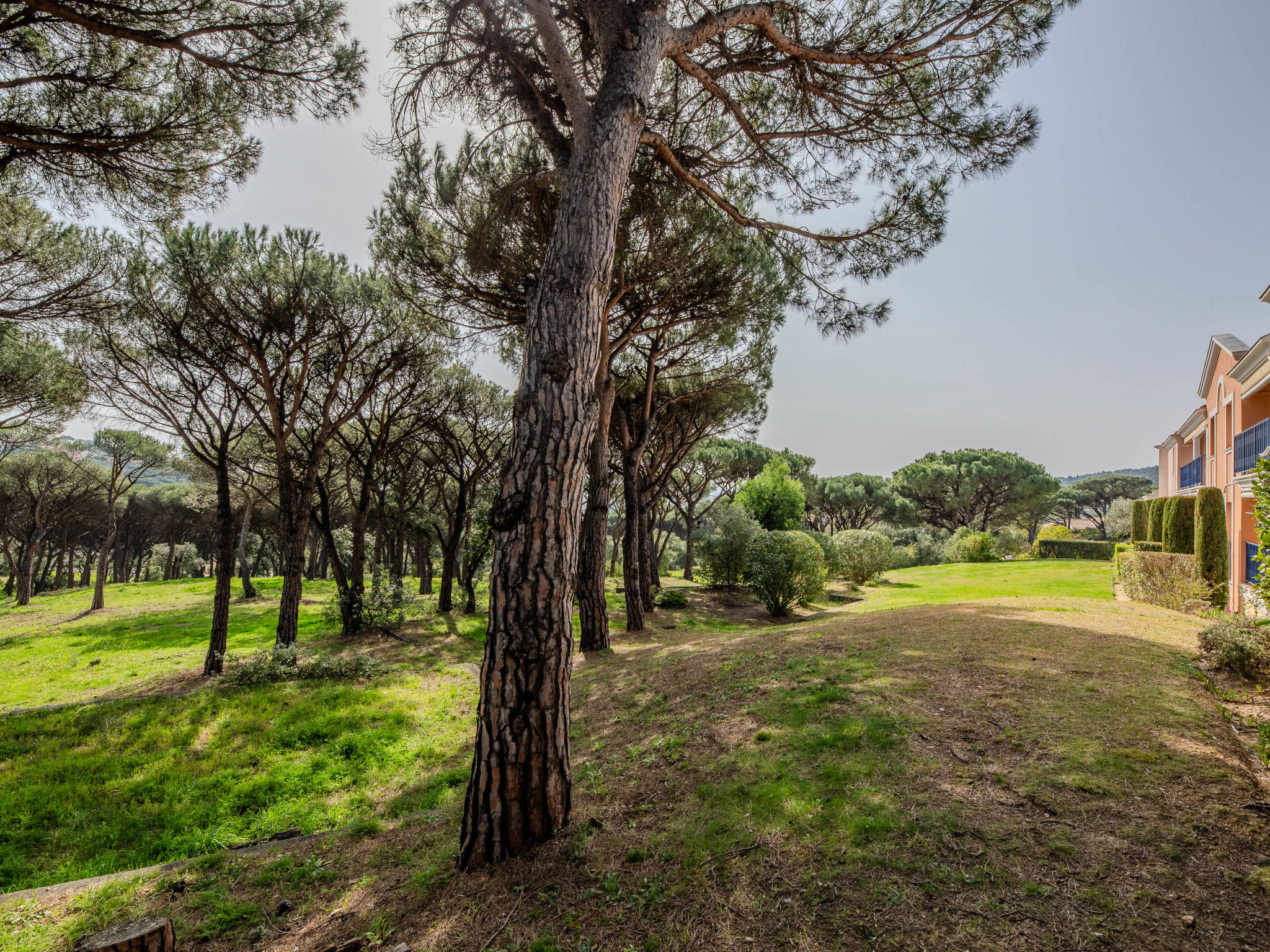 Photo of les Pins Bleus