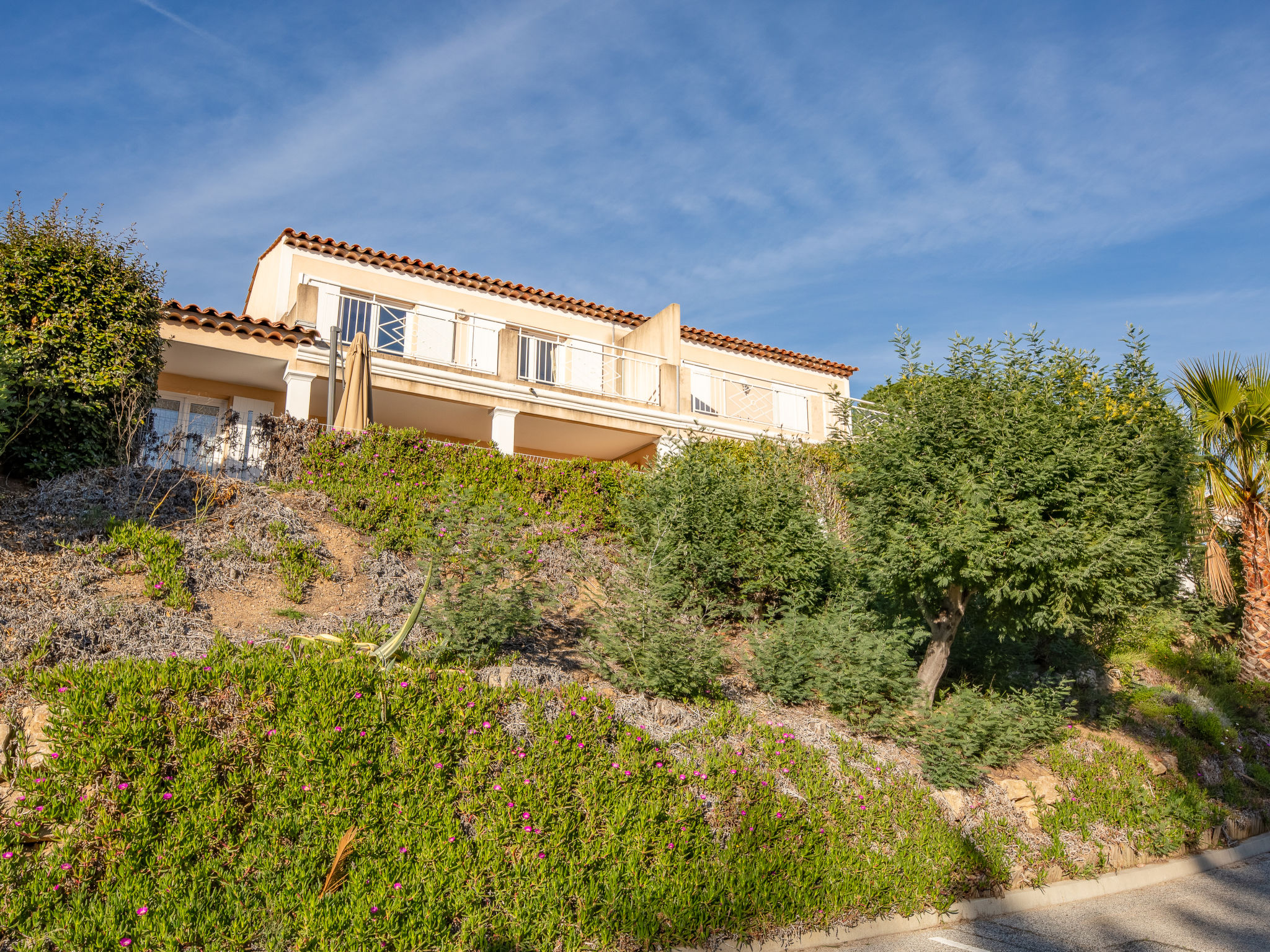 Photo of Maxime Park