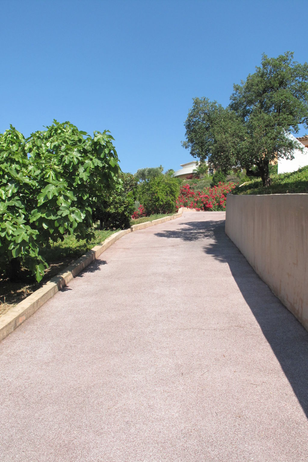 Photo of La Figuière