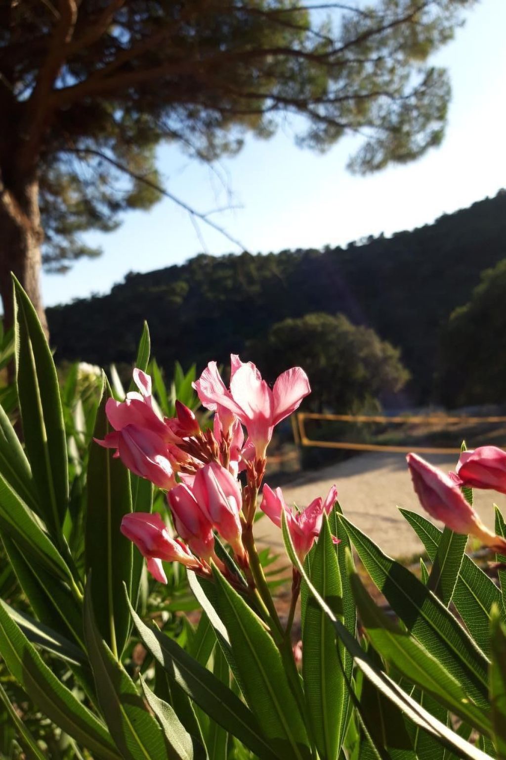 1.5 Zimmerhaus-Binnen