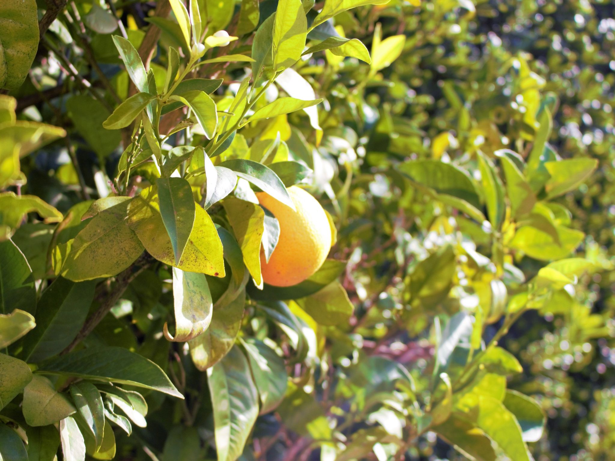 Schöne Ferienvilla mit Privatpool an der Côte d'Azur-Dedans