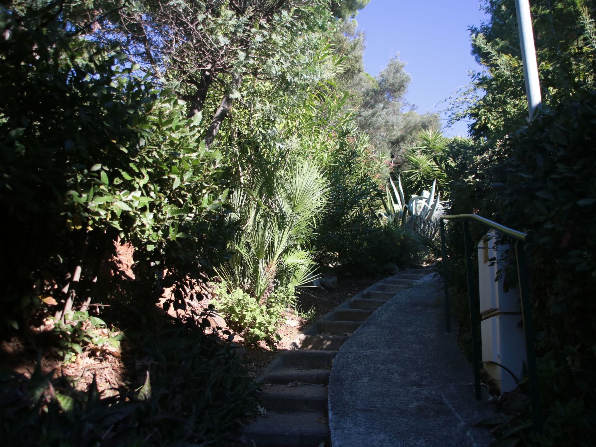 "La petite maison Maximoise" (Das kleine Haus Maximoise)-Binnen