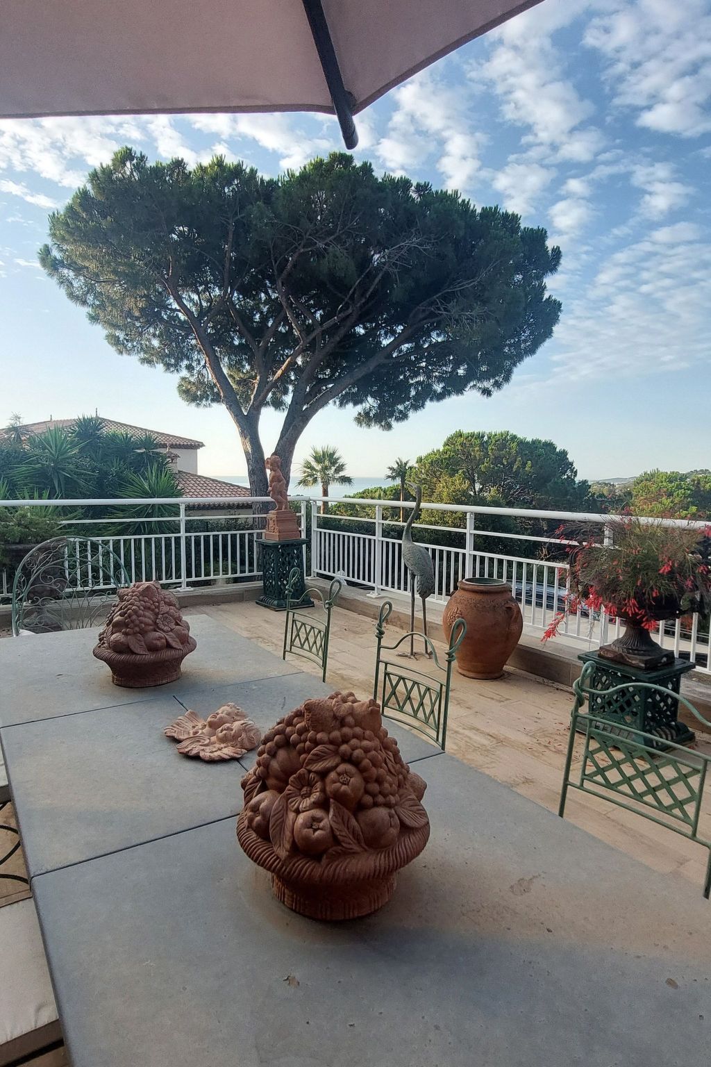 Photo of Der Meereswind