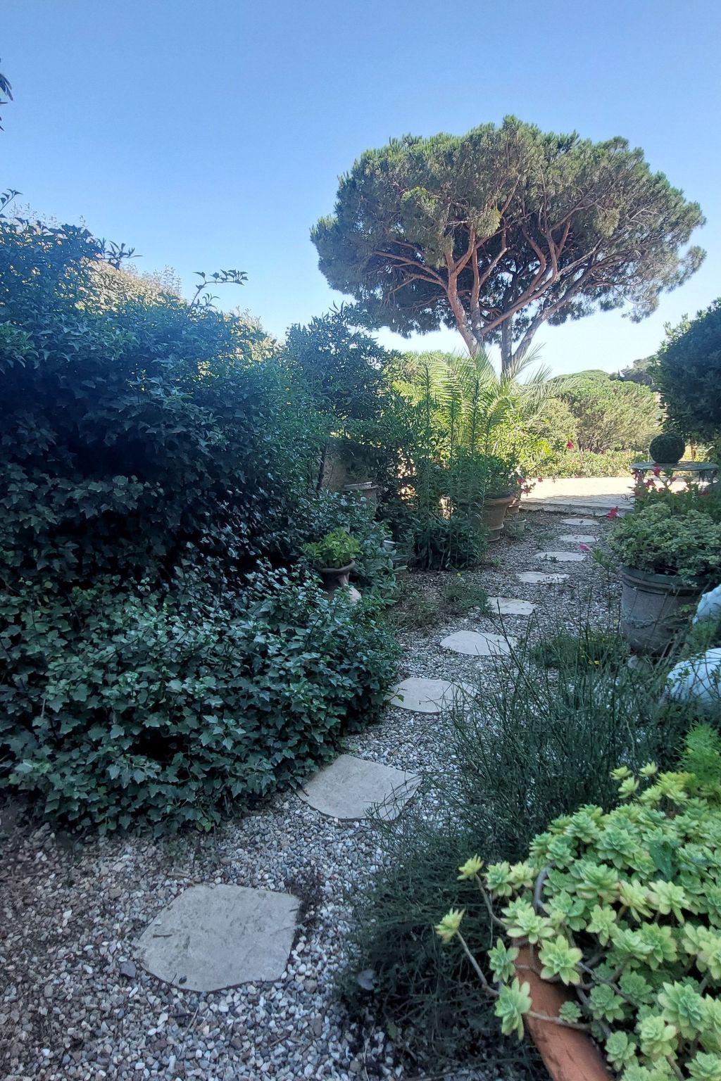 Photo of Der Meereswind