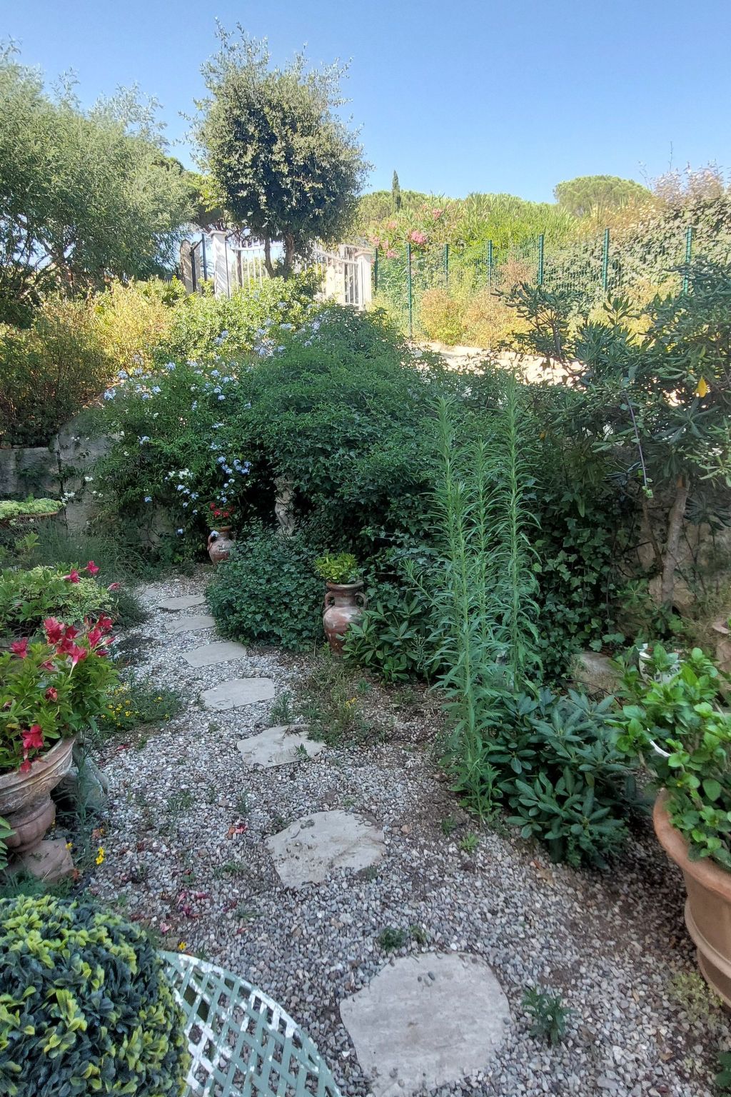 Photo of Der Meereswind