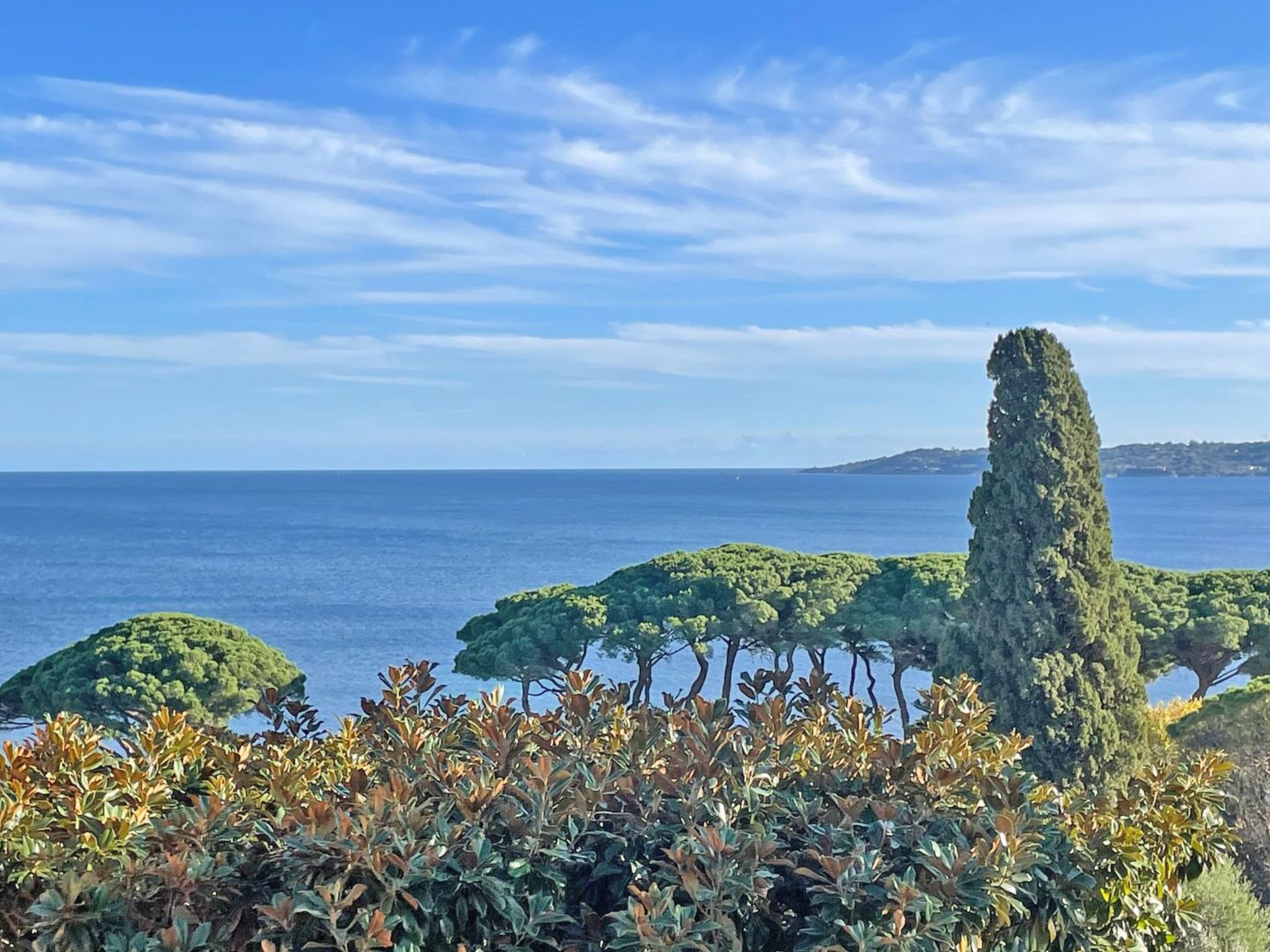 Photo of Studio 2/4 Pers - Vue Mer - Climatisation