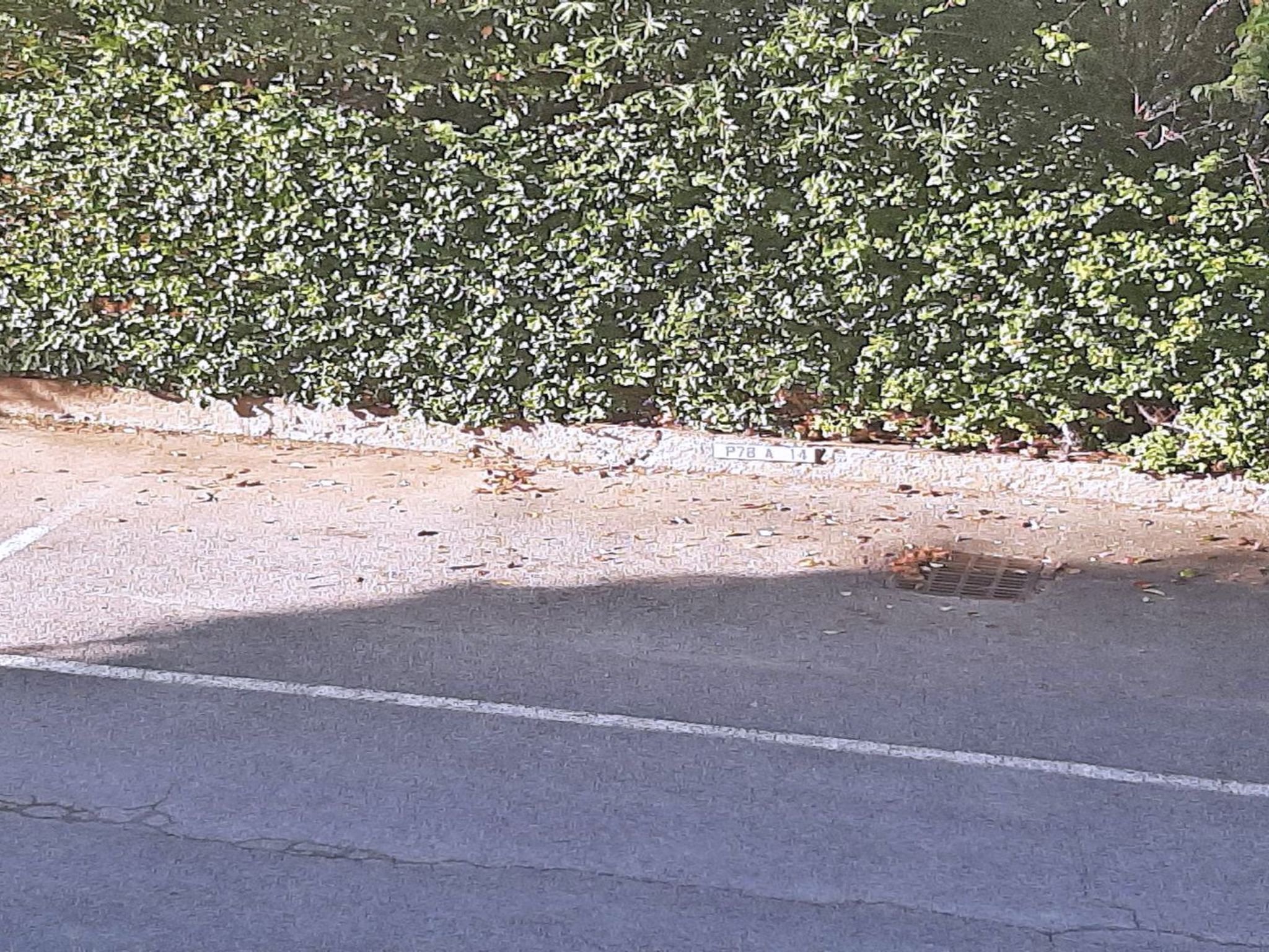 Photo of Wohnung T2 - 4 pers - Klimaanlage - WiFi