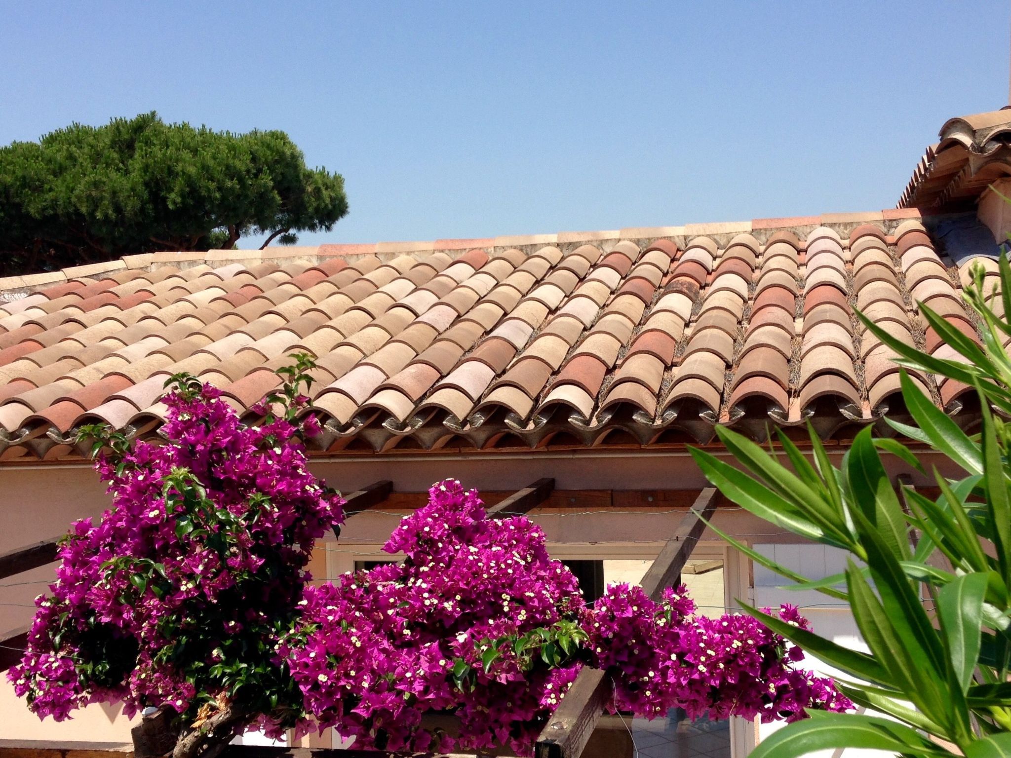 "Villa Cypangha"-Dehors