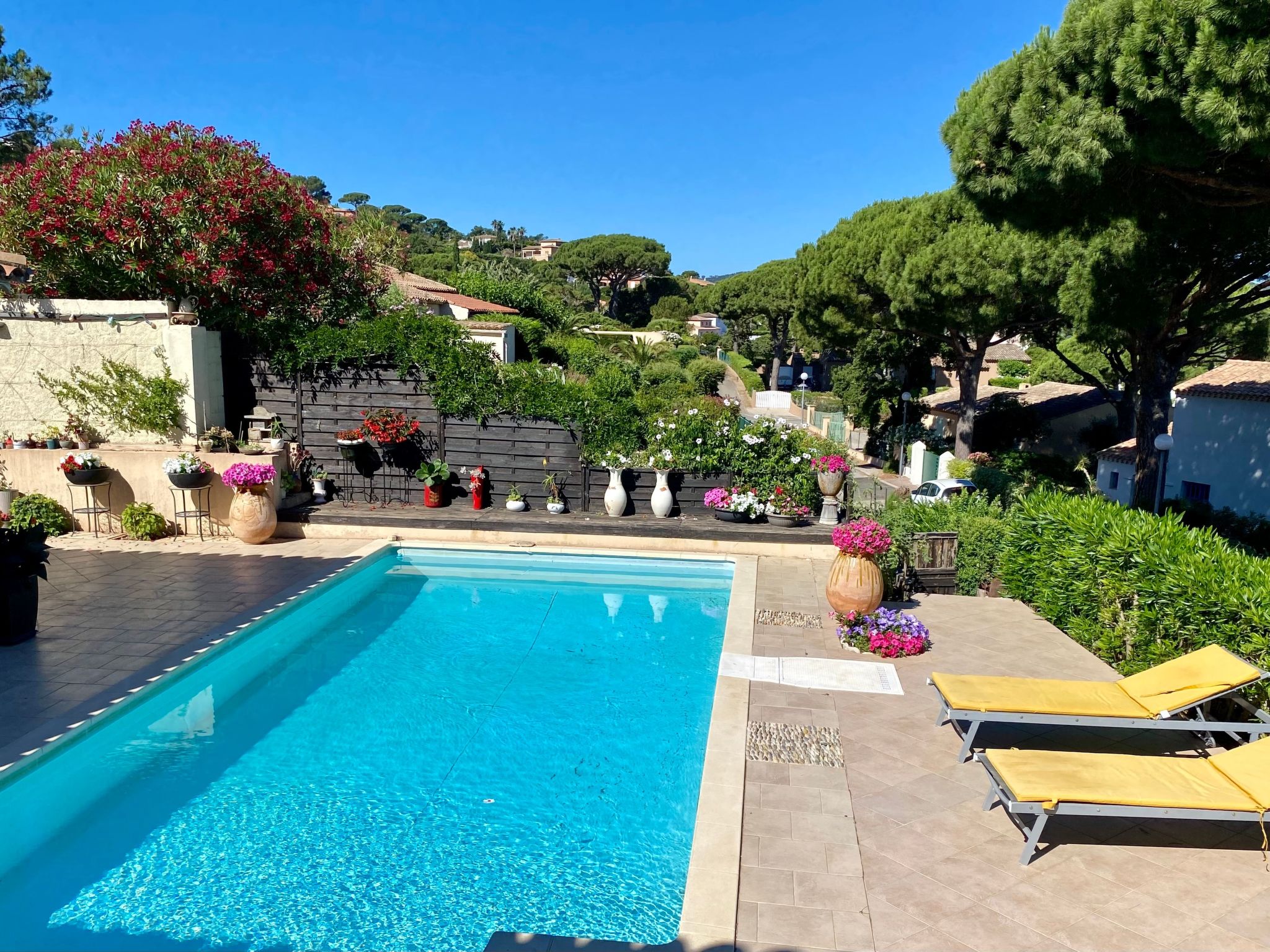 "Villa Cypangha"-Dehors