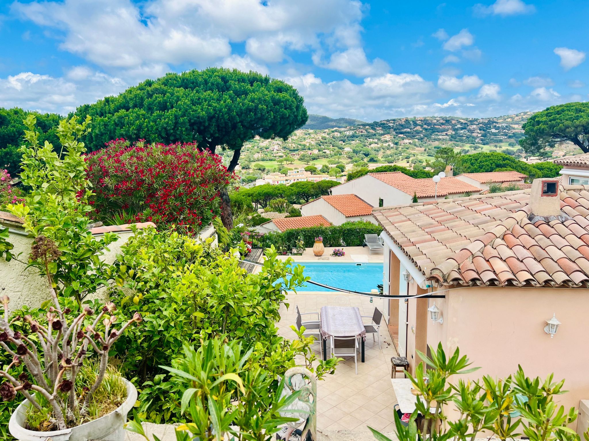 Photo of "Villa Cypangha"