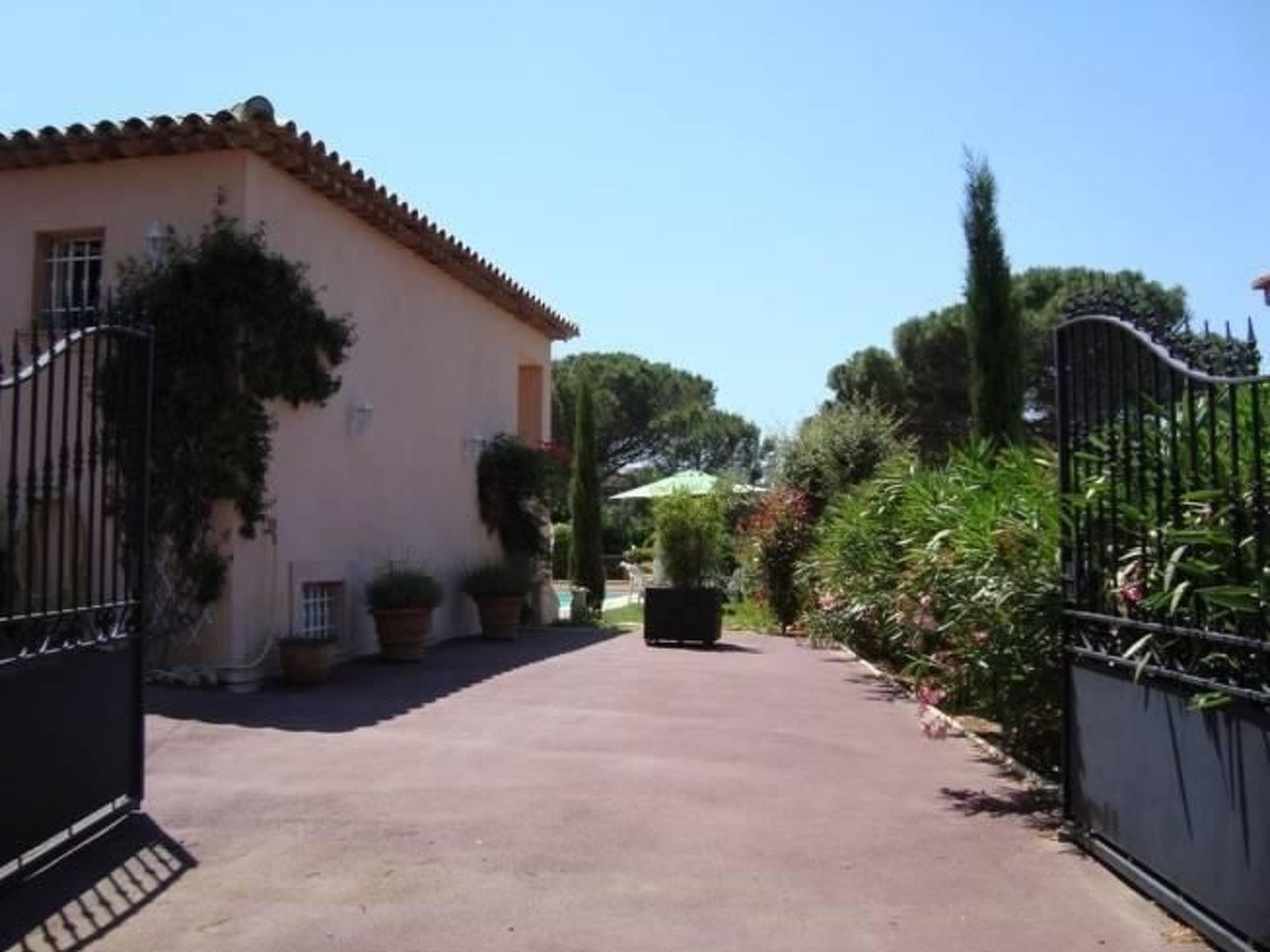 Photo of "Villa Cypangha"