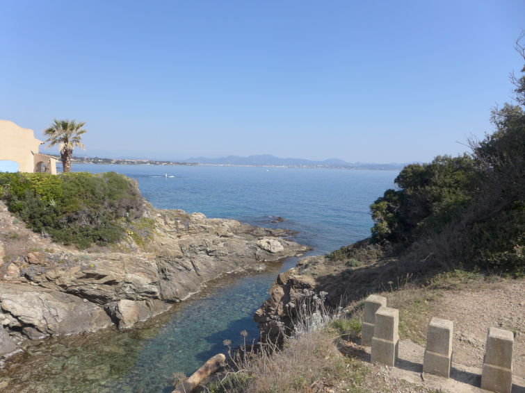 Photo of Panorama