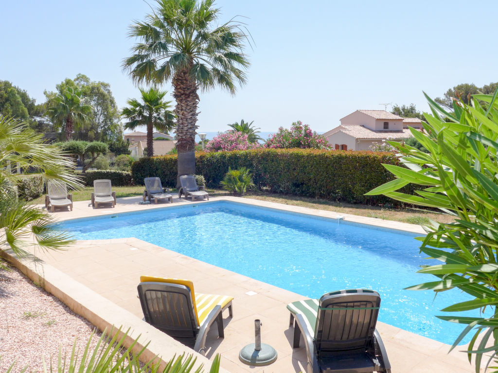 La Petite Afrique — Pool Outdoor