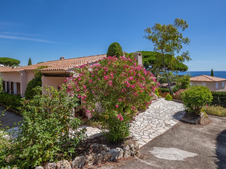 Ferienhaus La Petite Afrique