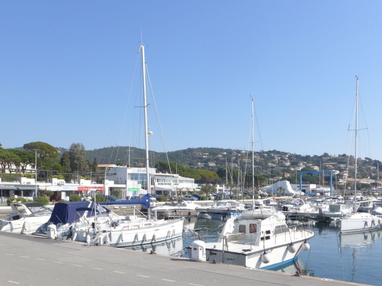 Photo of Les Cigales