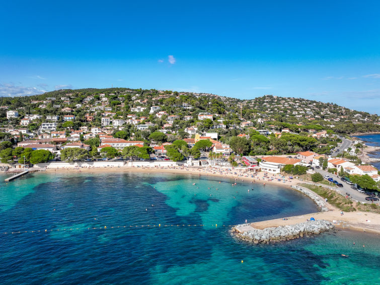 Photo of Les Cigales
