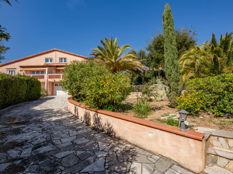 Photo of Les Cigales