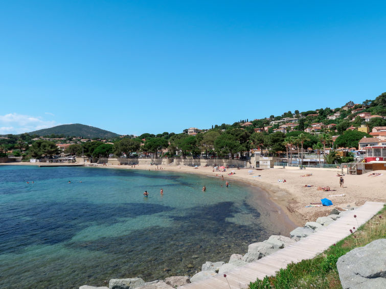 Photo of Les Cigales