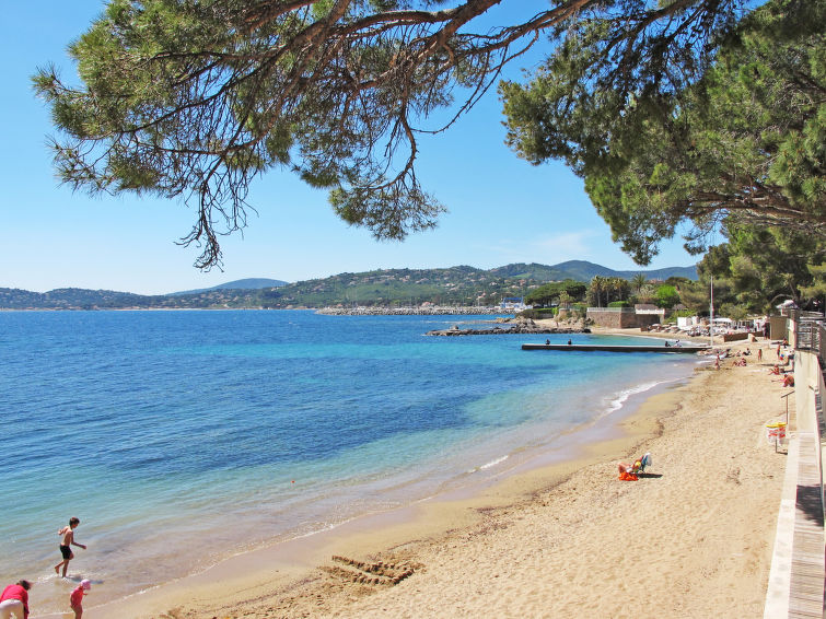 Photo of Les Cigales
