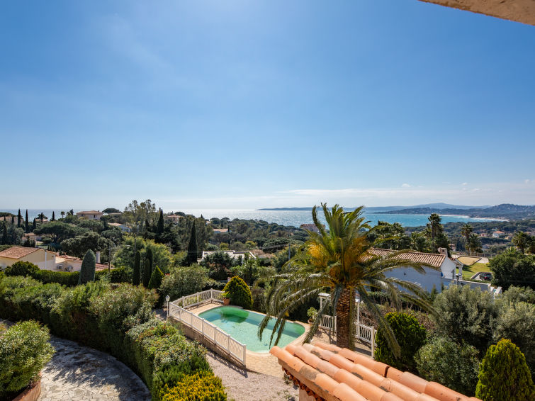 Photo of Les Cigales