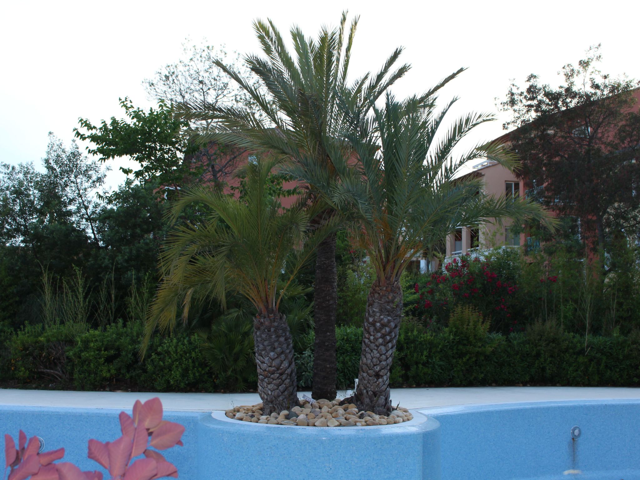 Französische Riviera - Les Issambres T2 für 4 Personen am Meer