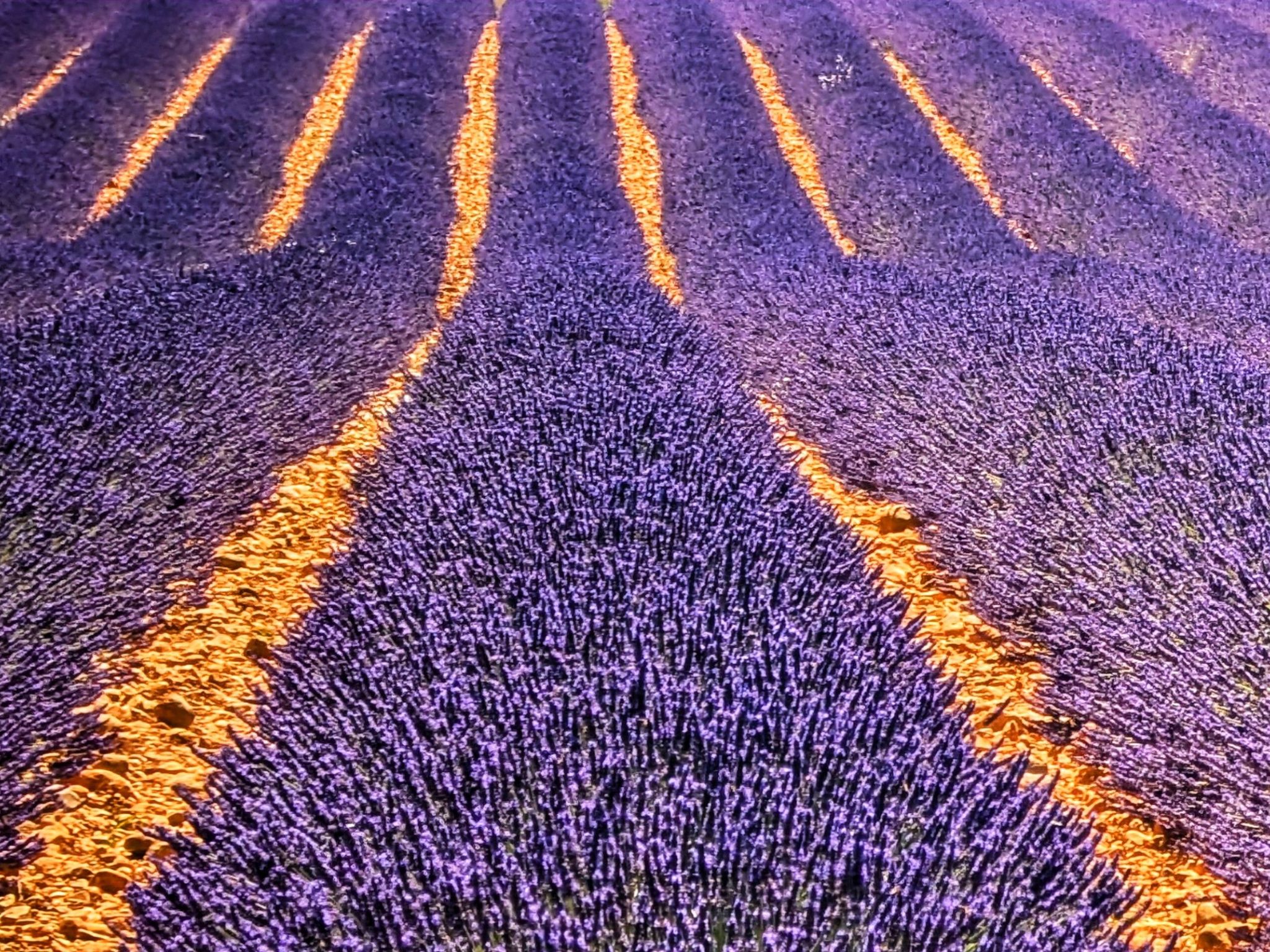 Stacaravan camping Lei Suves cote d'azur Var-Binnen