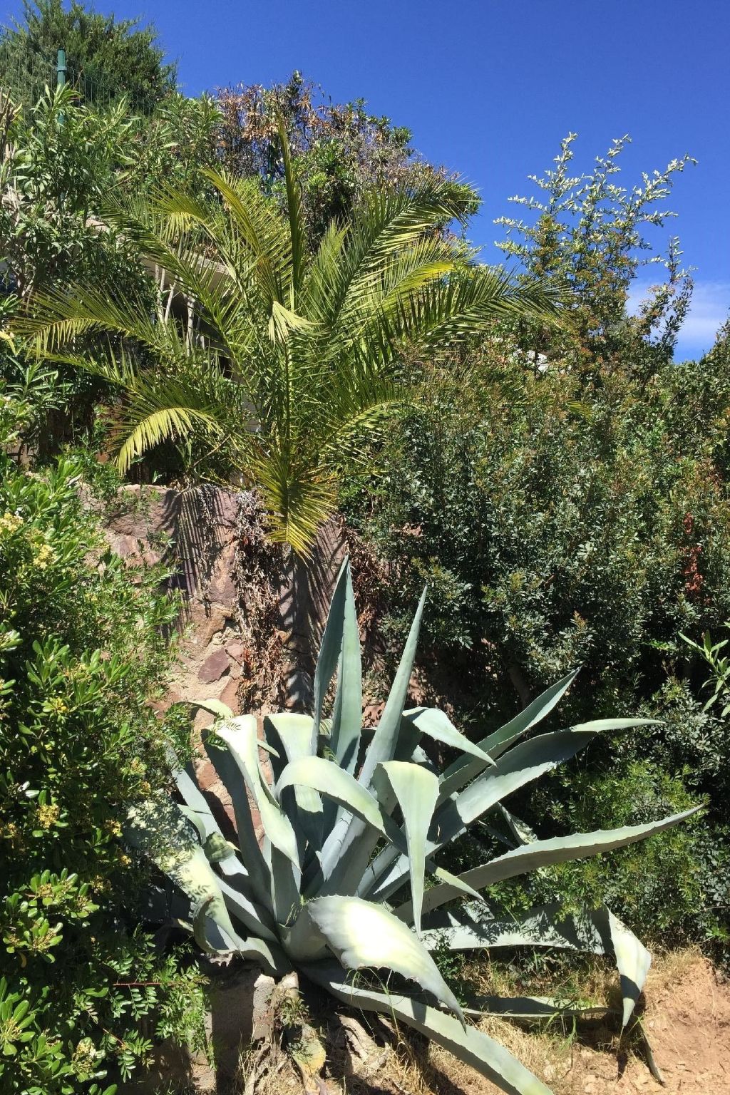 Kleine Villa an der Cote d´Azur-Drinnen