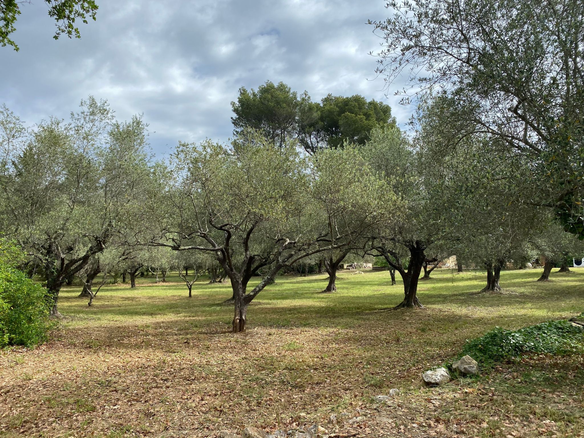 Klimatisiertes Mas Les Heures Bleues mit Pool-Binnen