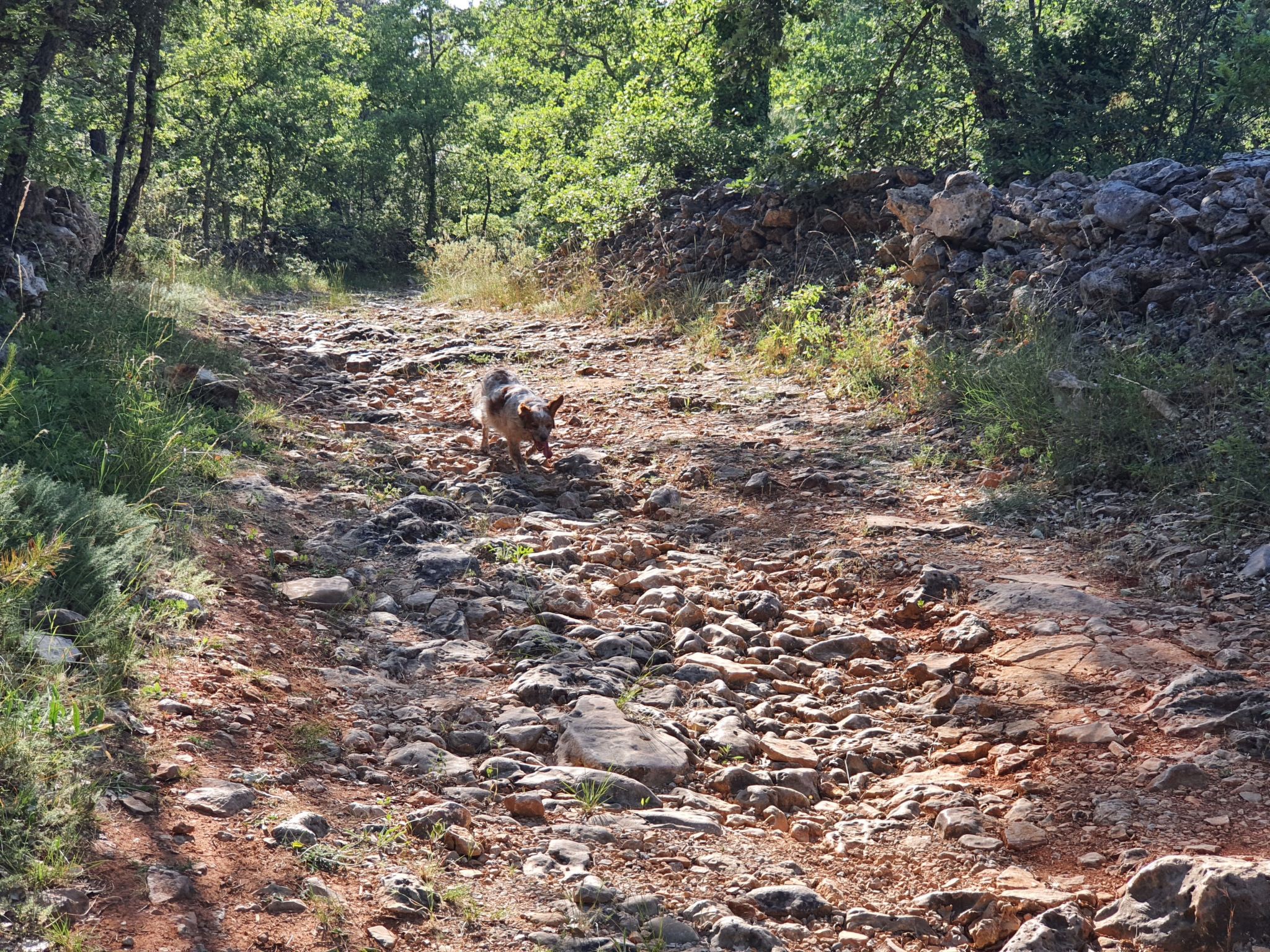 Klimatisiertes Mas Les Heures Bleues mit Pool-Binnen