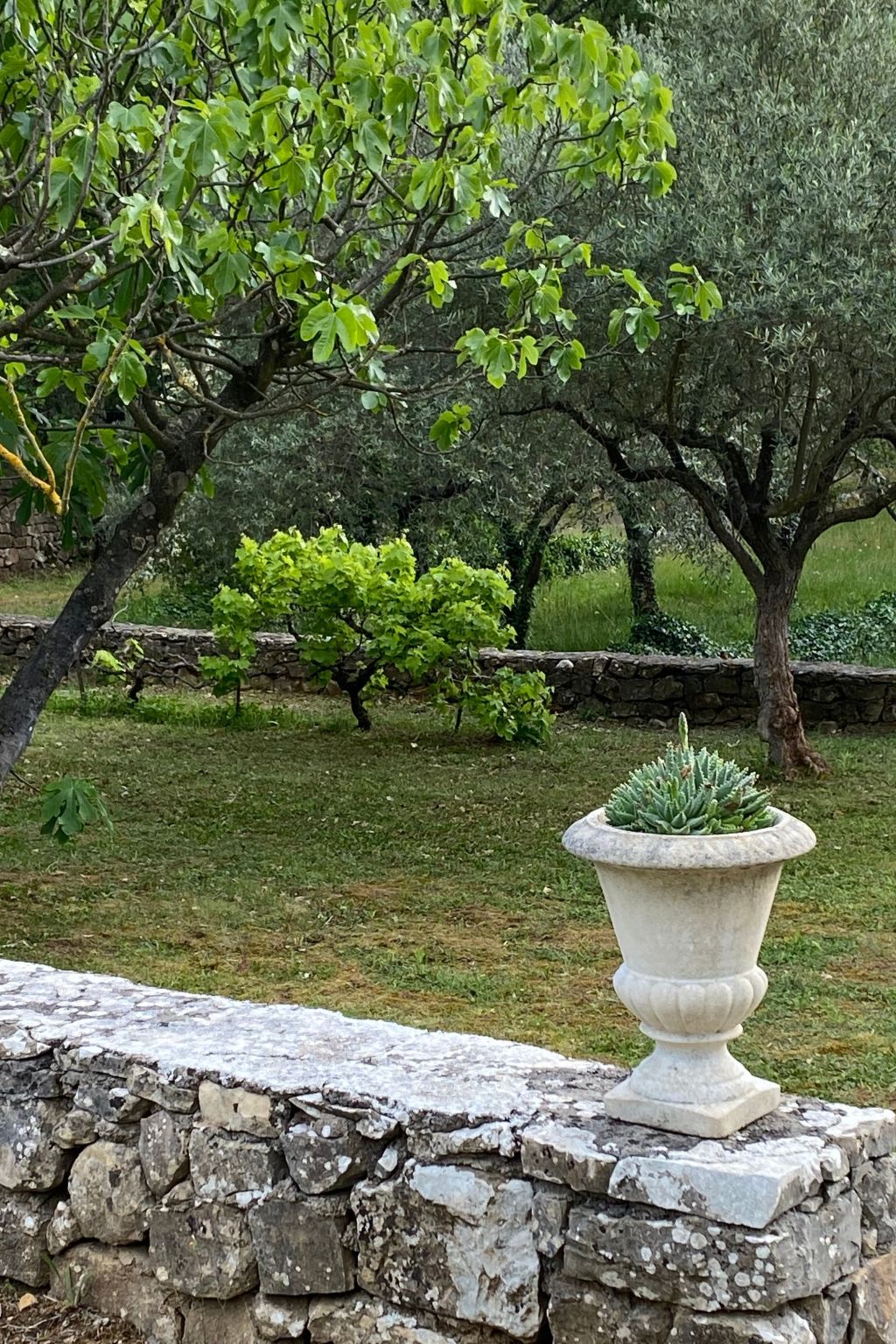 Klimatisiertes Mas Les Heures Bleues mit Pool-Binnen