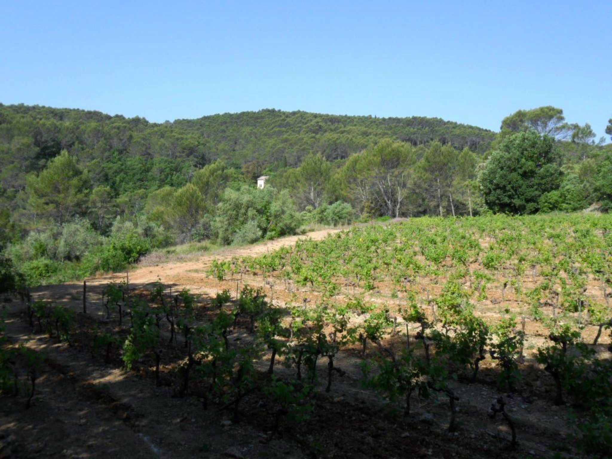 Provenzialisches Ferienhaus mit Privatpool - Dehors