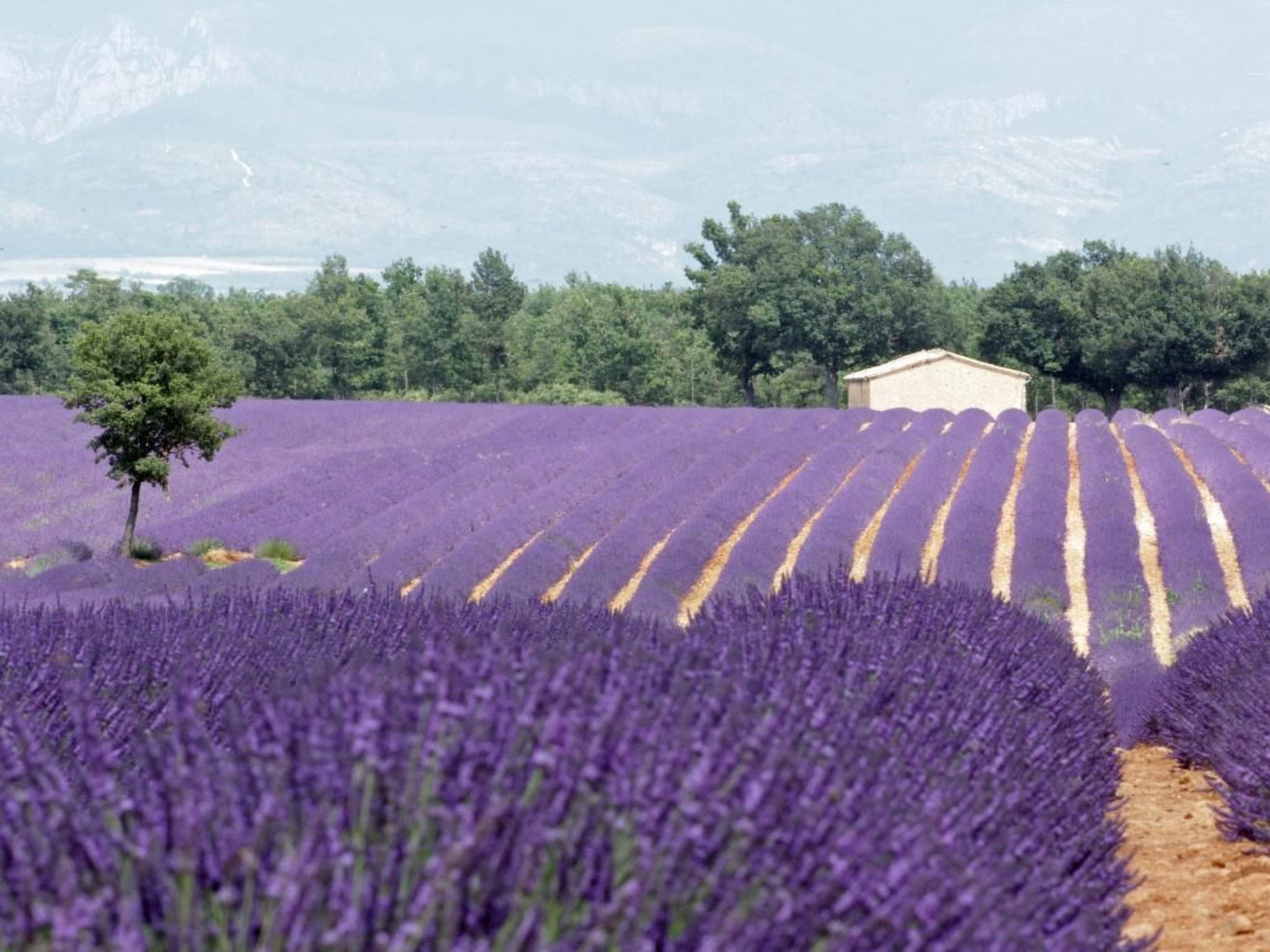 Maison Hascher-Binnen