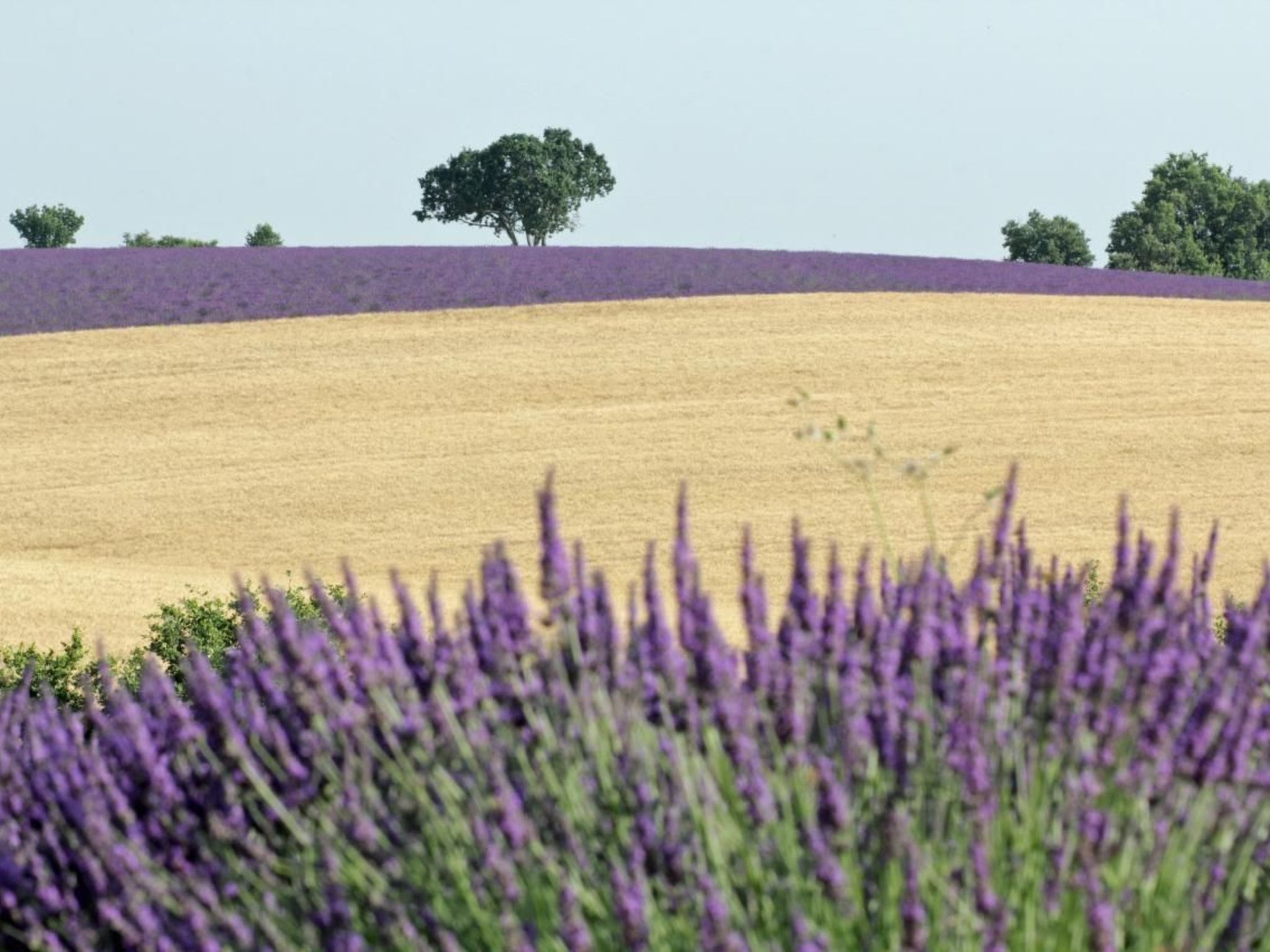 Maison Hascher-Binnen