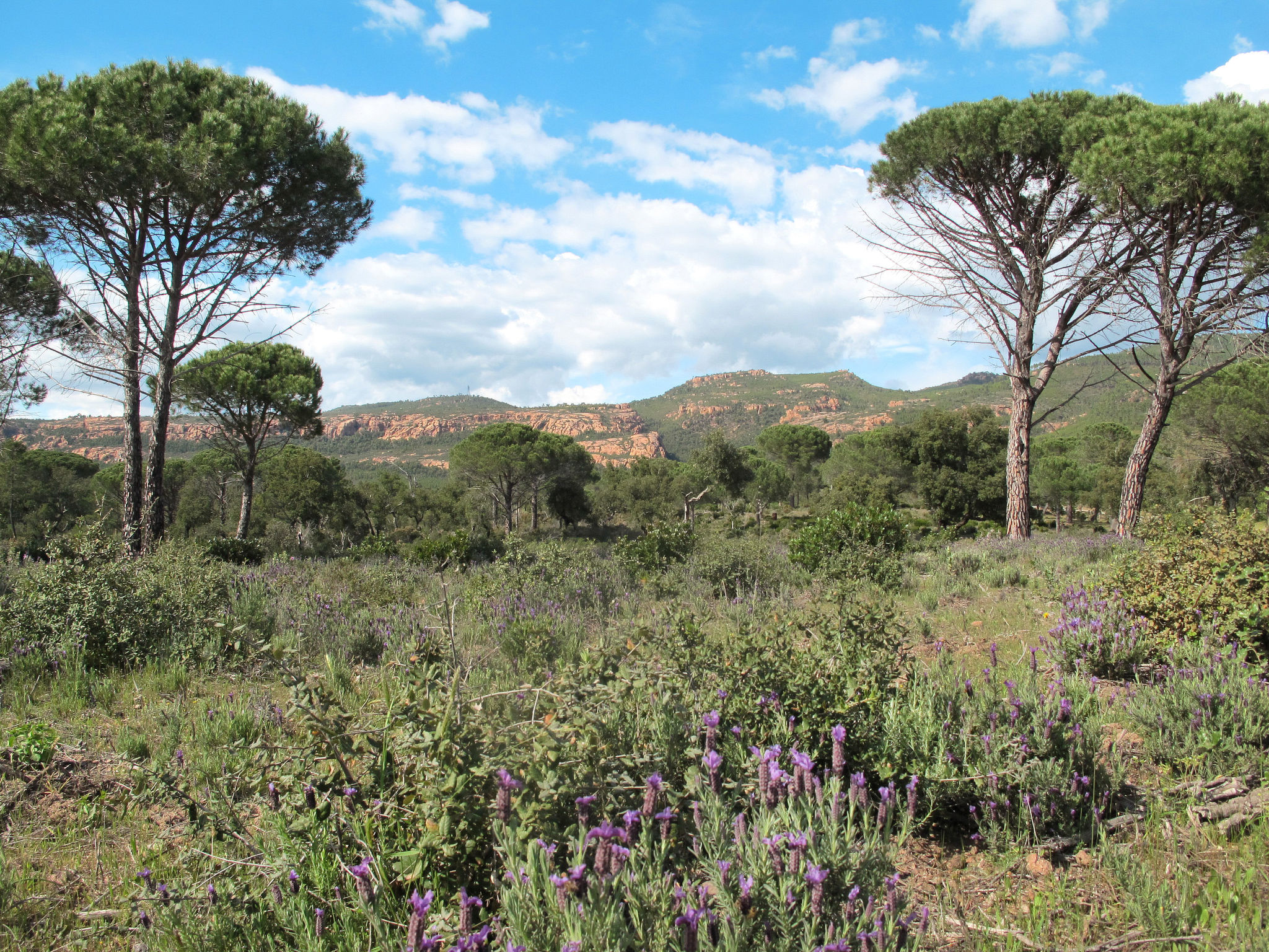 Ferienvilla "Beautiful" mit Garten, Grill und Terrasse-Omgeving