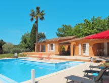 Micocoulier (BEF135)