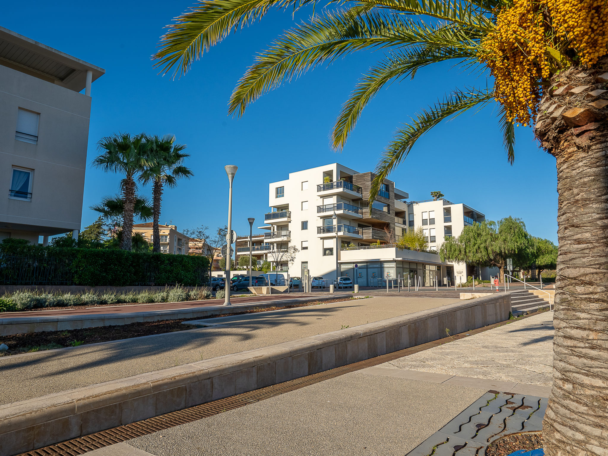 Photo of Rive Gauche