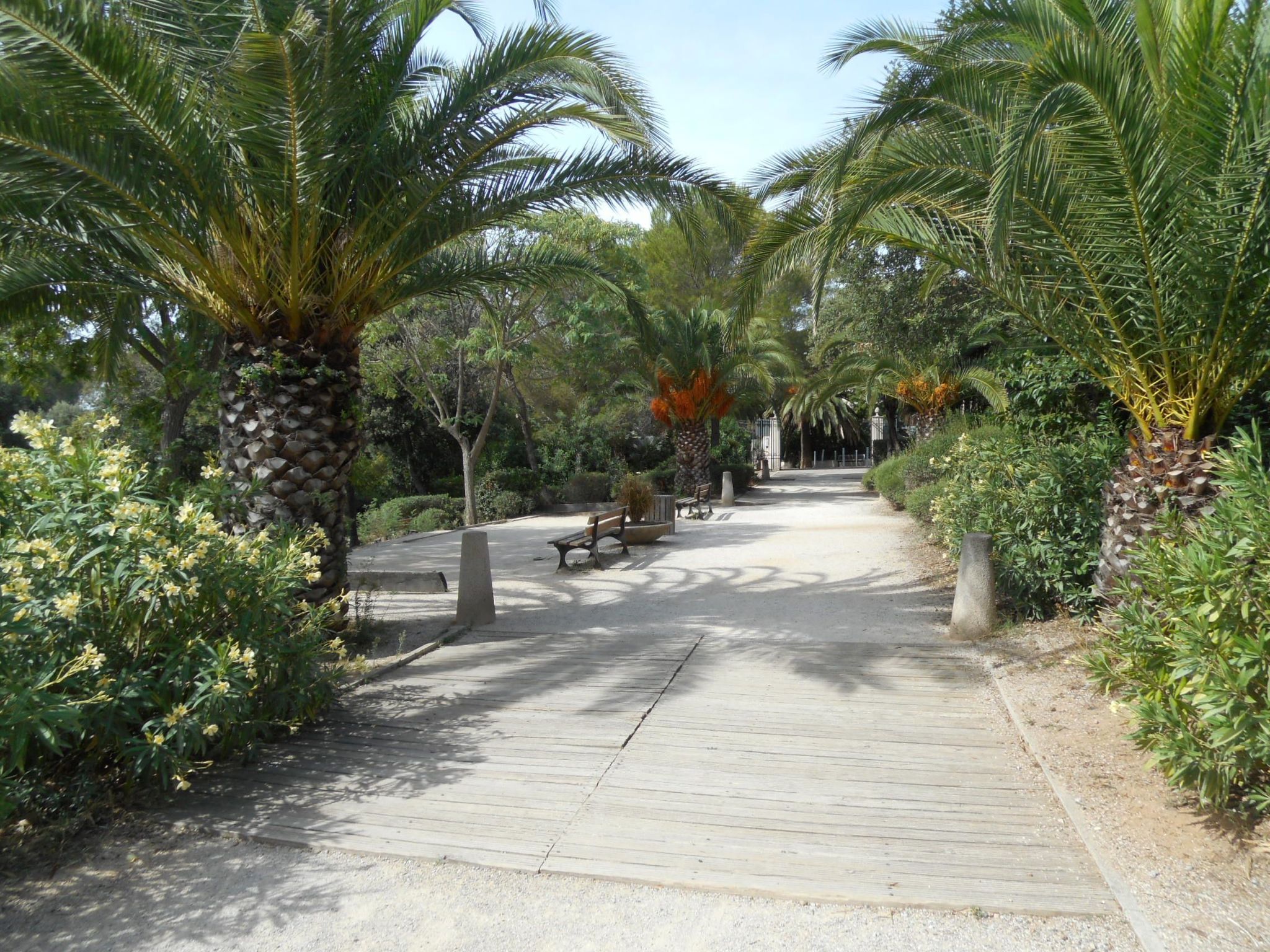 Loft, 300 m vom Meer-Dedans