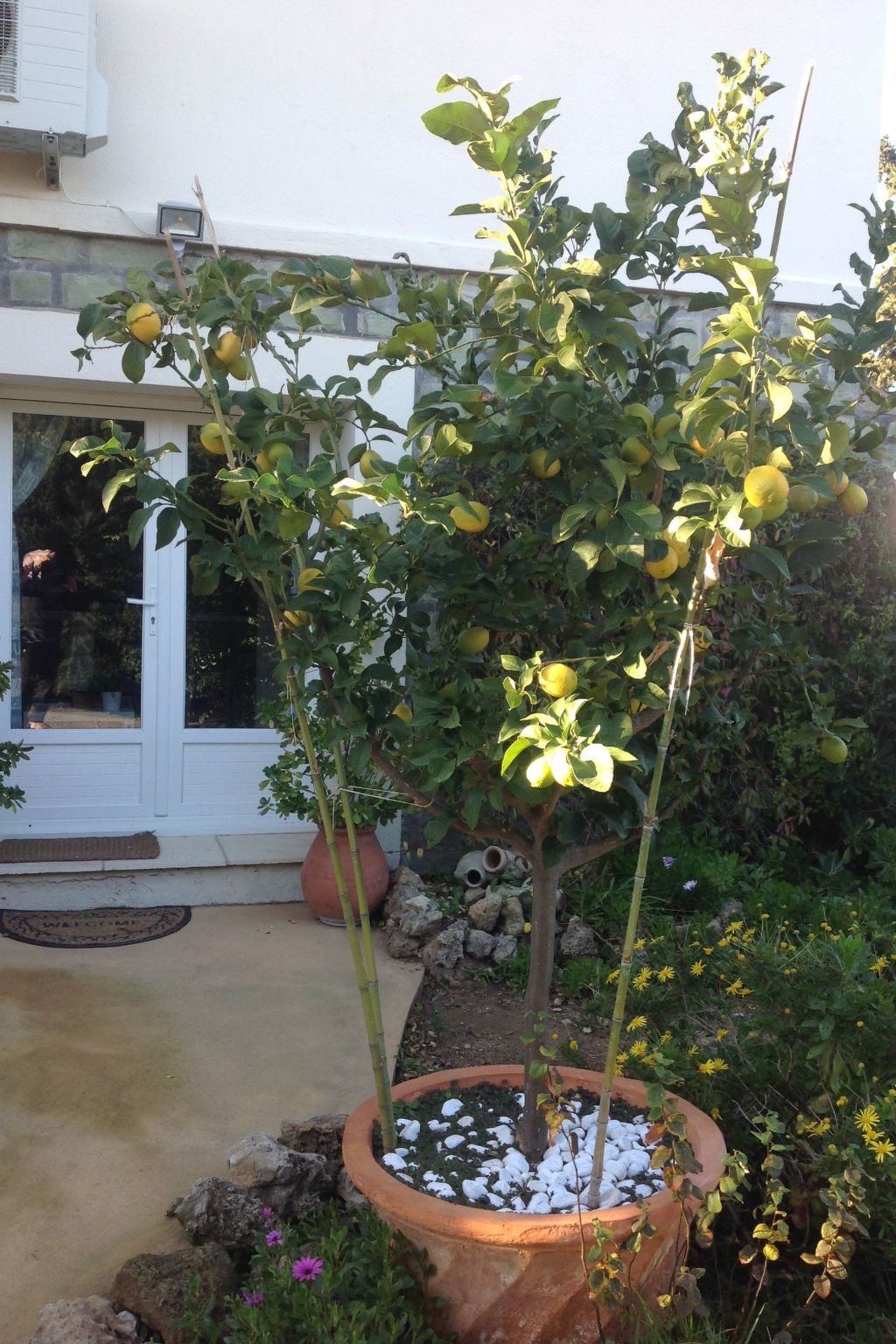 Erdgeschoss der Villa du Pébrier Côte d'Azur Saint Aygulf-Inside