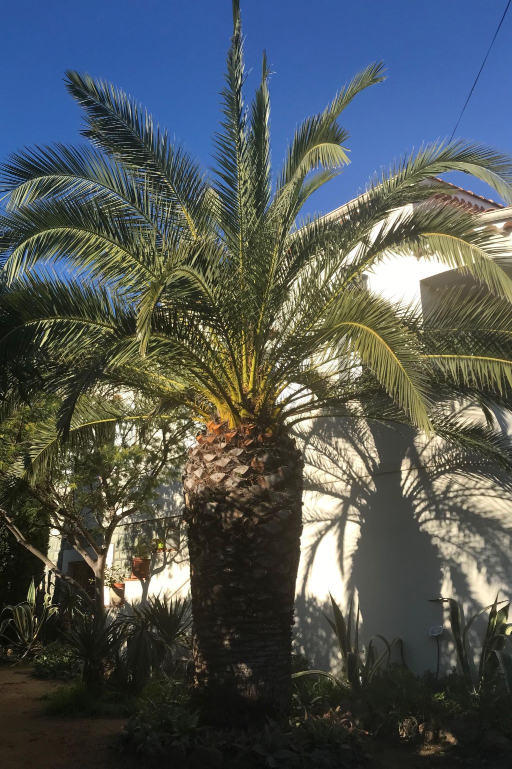 Erdgeschoss der Villa du Pébrier Côte d'Azur Saint Aygulf-Inside