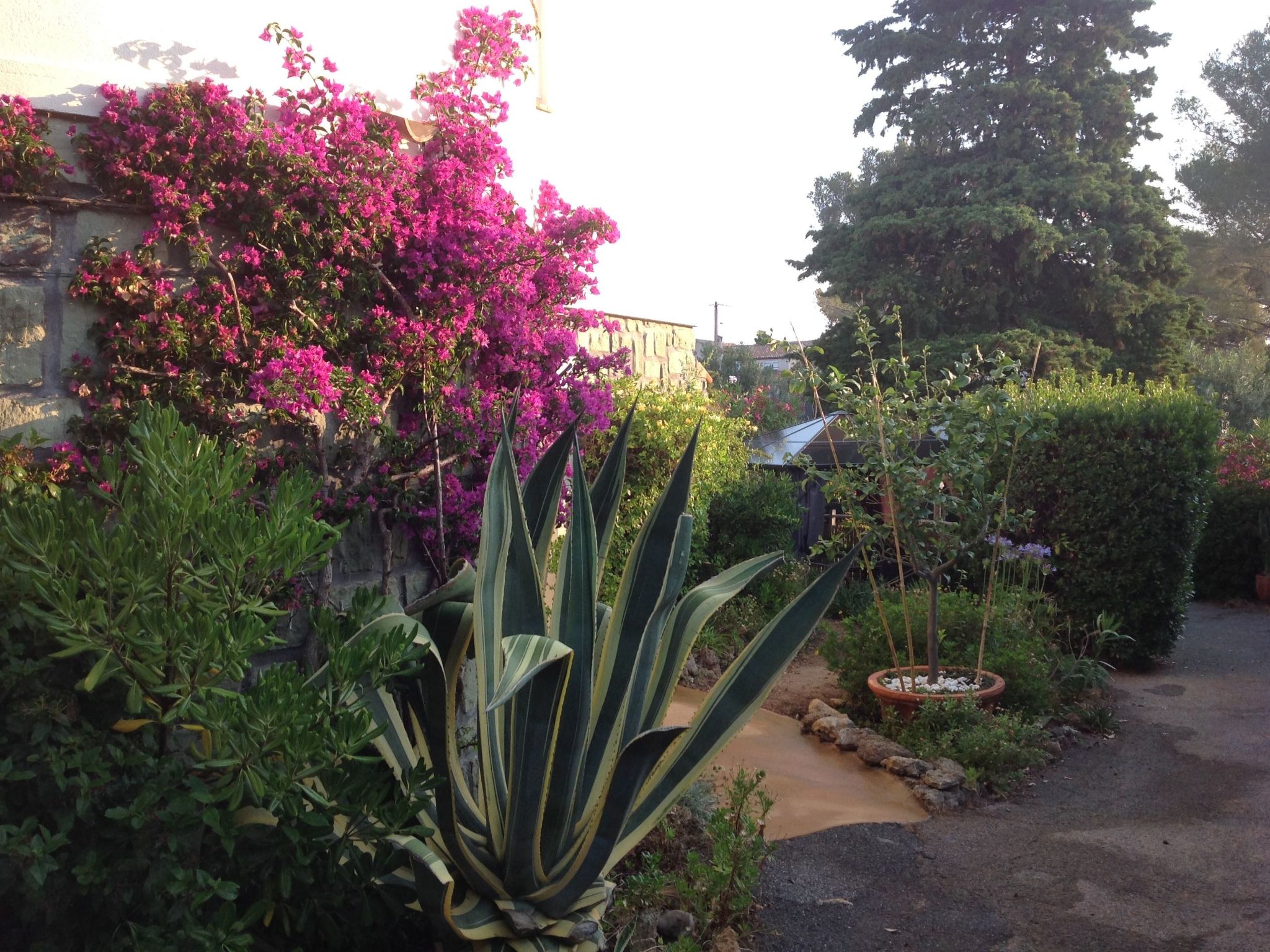 Erdgeschoss der Villa du Pébrier Côte d'Azur Saint Aygulf-Inside