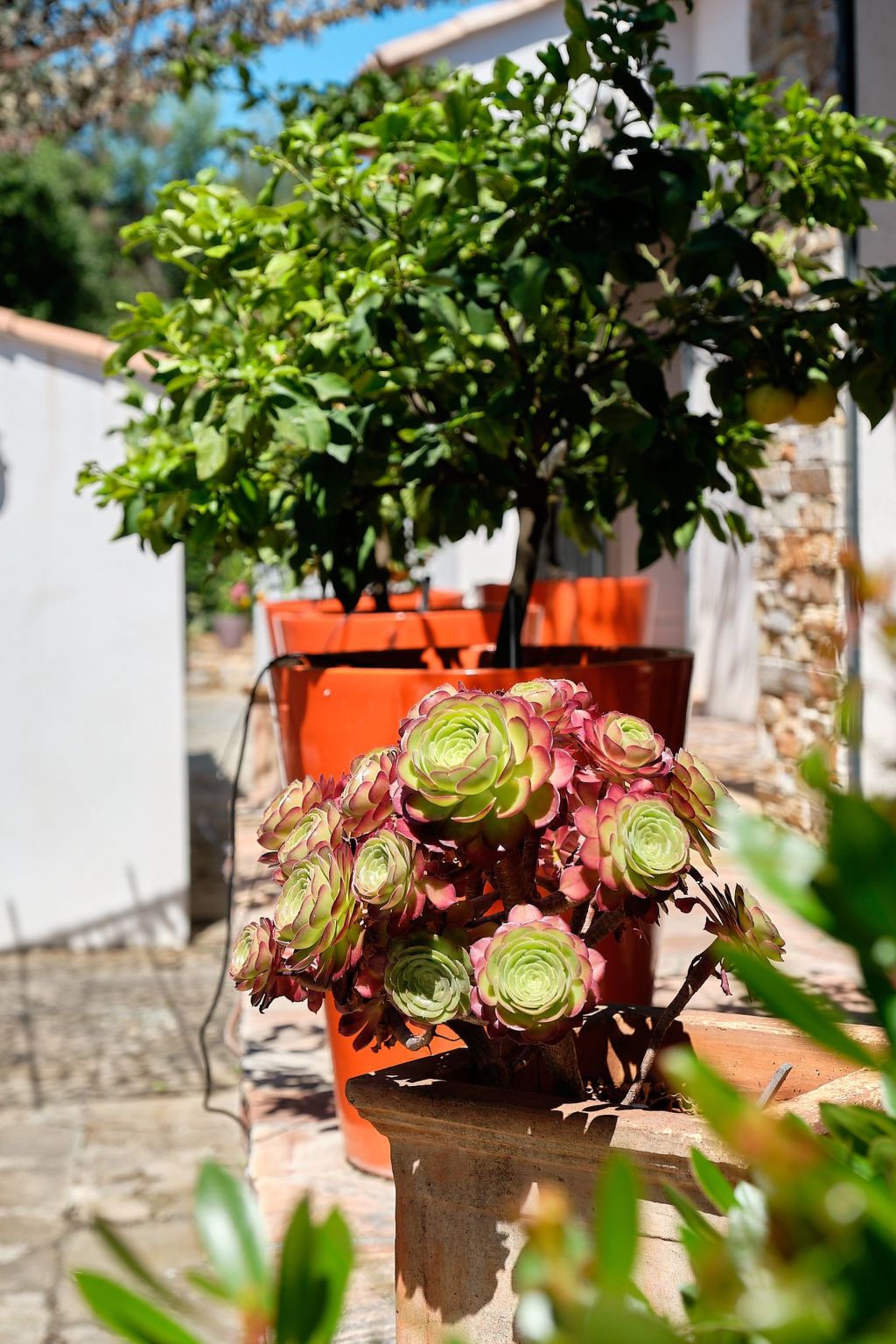 Herrliche Villa mit Meerblick, Pool, 400m vom Meer entfernt-Drinnen