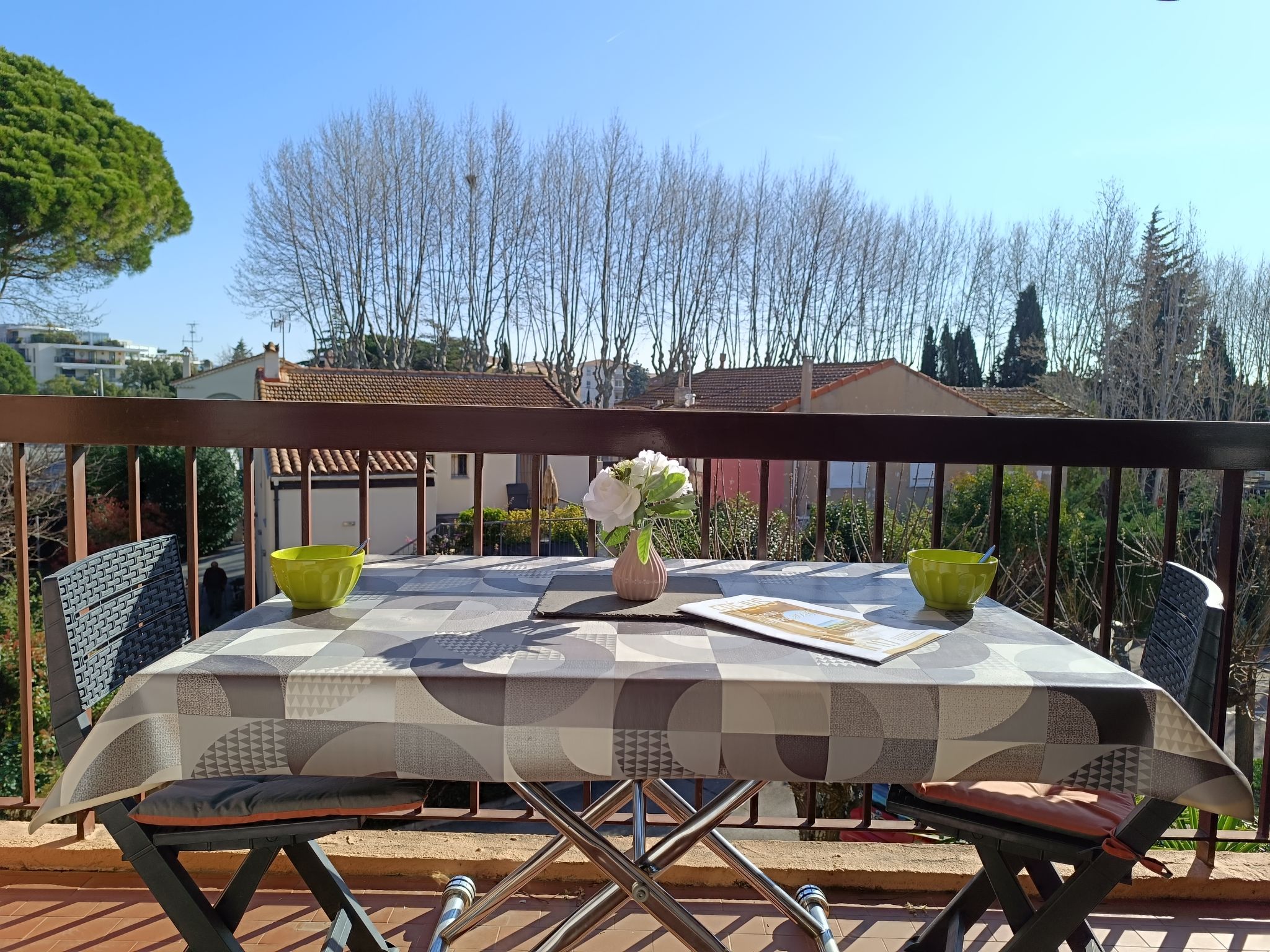 Photo of Les Flamants Roses