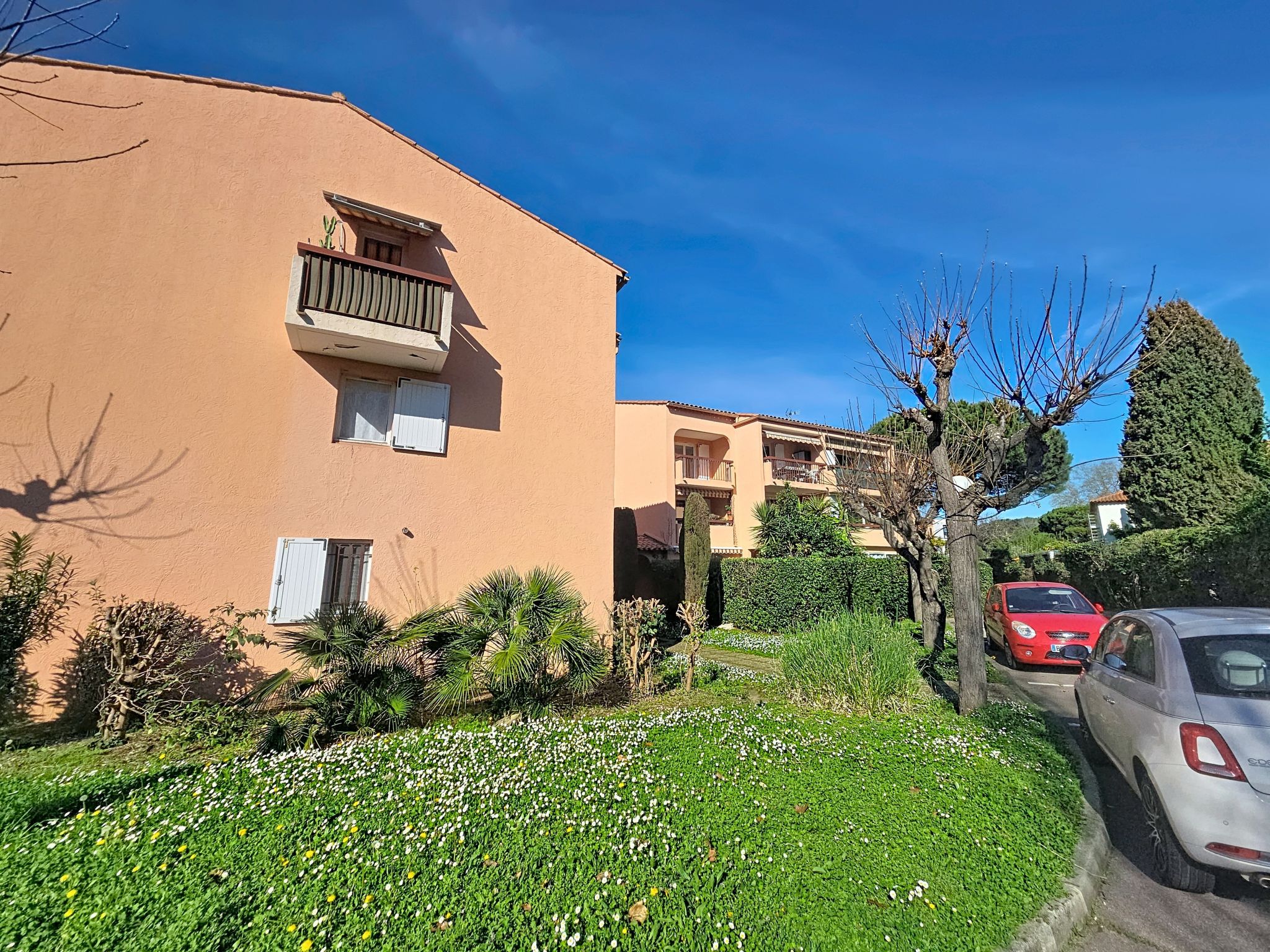 Photo of Les Flamants Roses