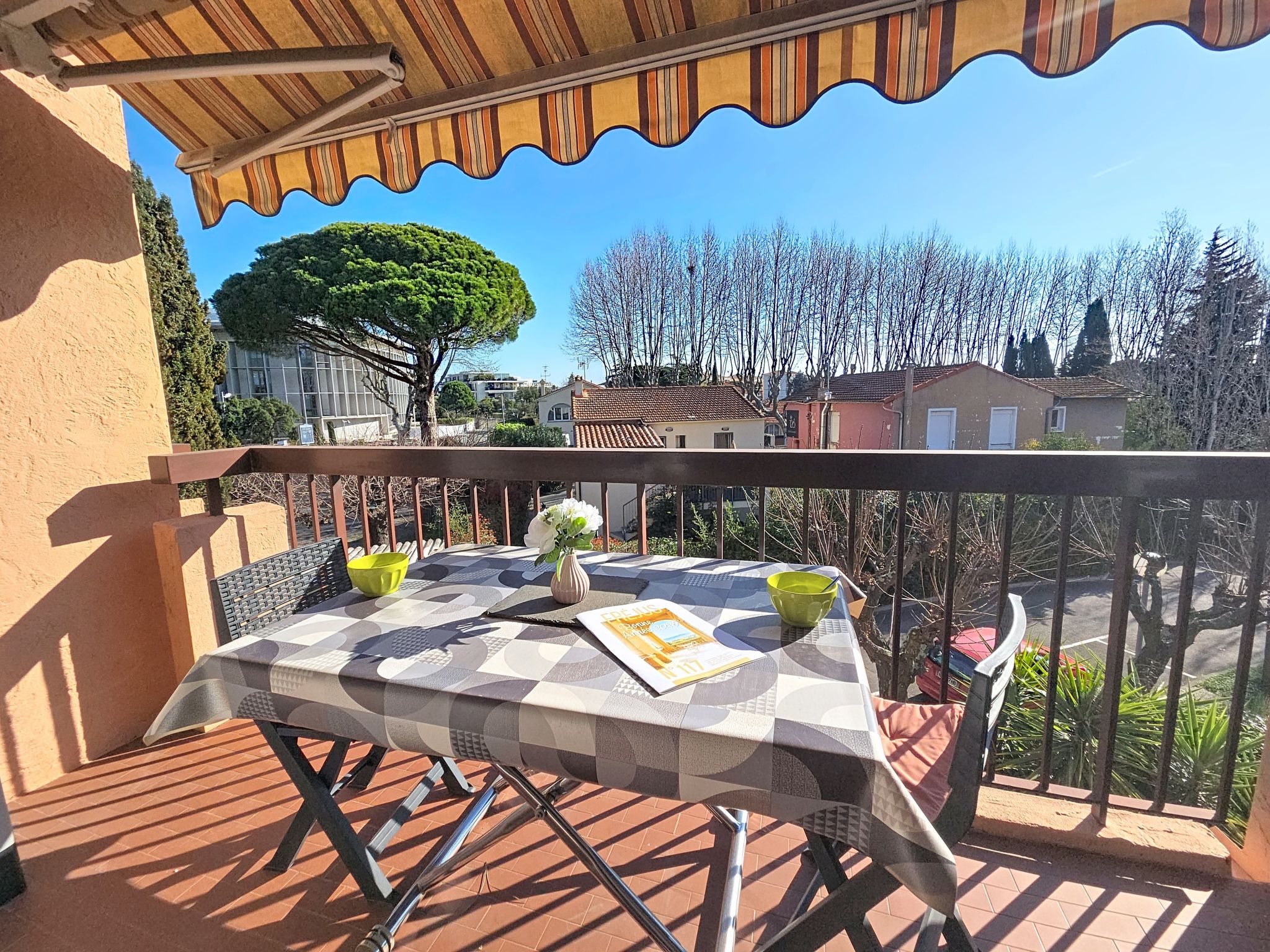 Photo of Les Flamants Roses